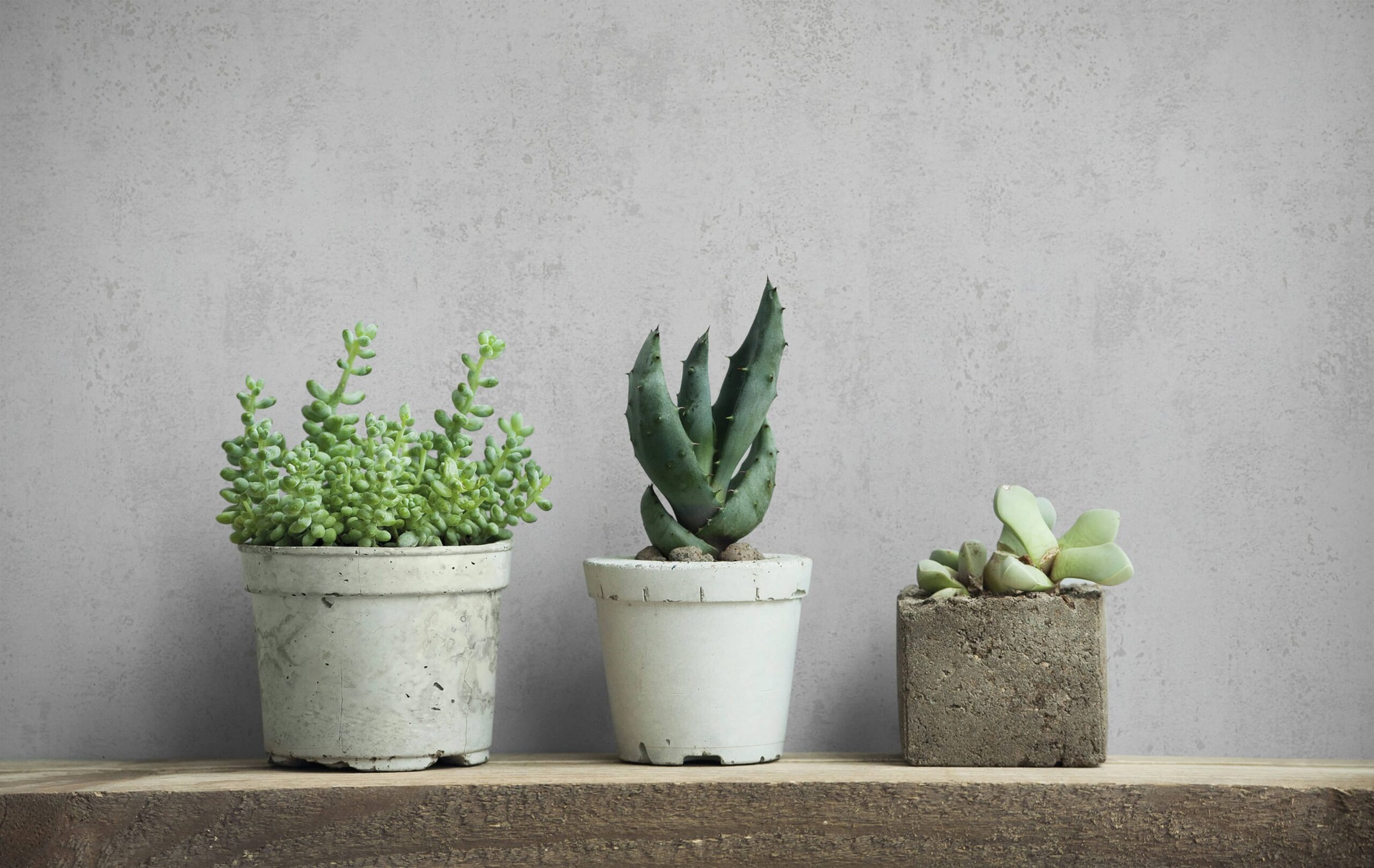 MARBURG Vliestapete "Utopian Uni", B/L: 0,53m x 10,05m, Rollen: 1, grau, Wohnzimmer, Tapeten, moderne Tapete für Wohnzimmer Schlafzimmer Küche