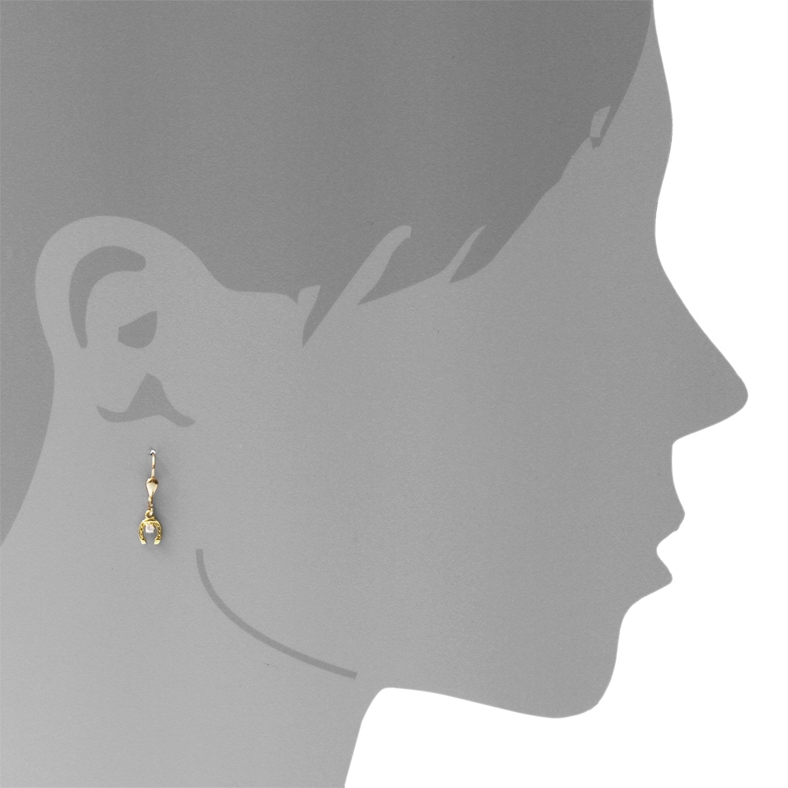 OSTSEE-SCHMUCK Paar Ohrhänger »- Hufeisen - Gold 333/000 - Zirkonia«