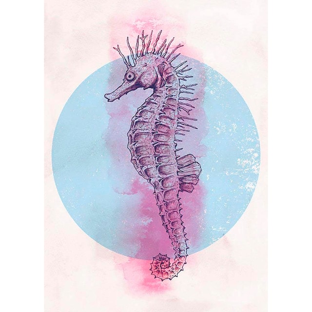 Komar Poster »Sea Horse Circle«, Tiere, (1 St.), Kinderzimmer, Schlafzimmer,  Wohnzimmer | BAUR