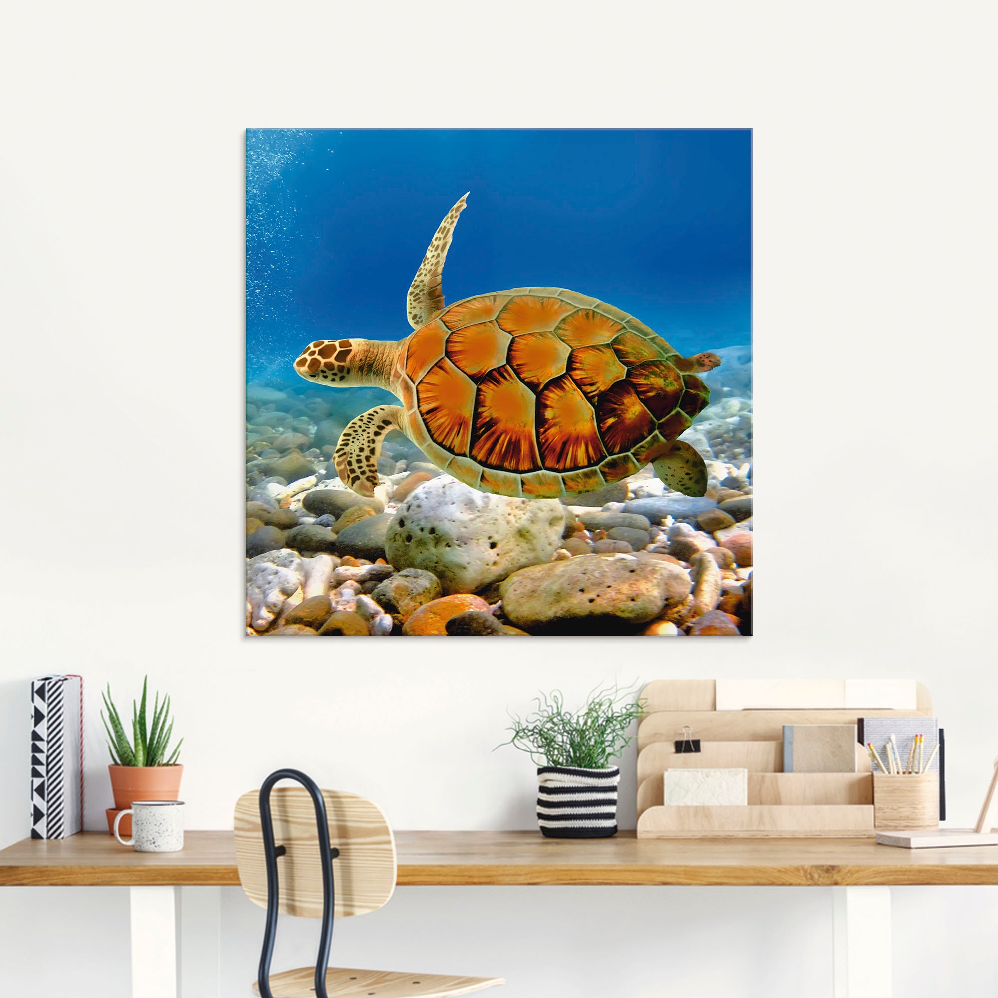 Artland Glasbild »Schildkröte«, Wassertiere, (1 St.), in verschiedenen Größen