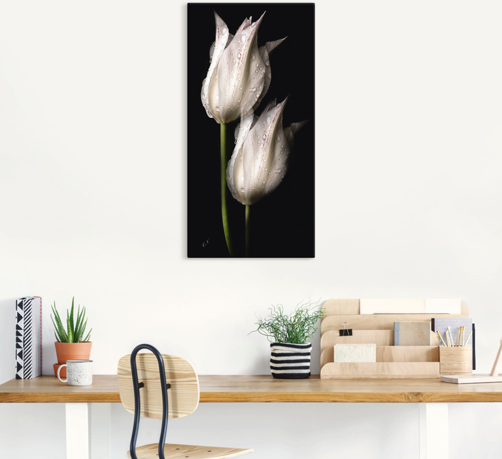 kaufen Artland Wandbild Blumenbilder, Poster Größen versch. Alubild, als Wandaufkleber Tulpen der St.), oder (1 in in | BAUR Nacht«, »Weiße Leinwandbild,