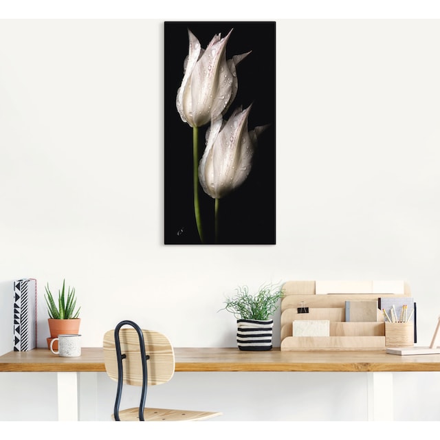 Artland Wandbild »Weiße Tulpen in der Nacht«, Blumenbilder, (1 St.), als  Alubild, Leinwandbild, Wandaufkleber oder Poster in versch. Größen kaufen |  BAUR