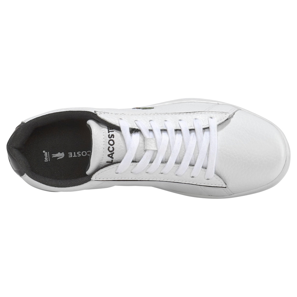 Lacoste Sneaker »CARNABY EVO 120 2 SFA«