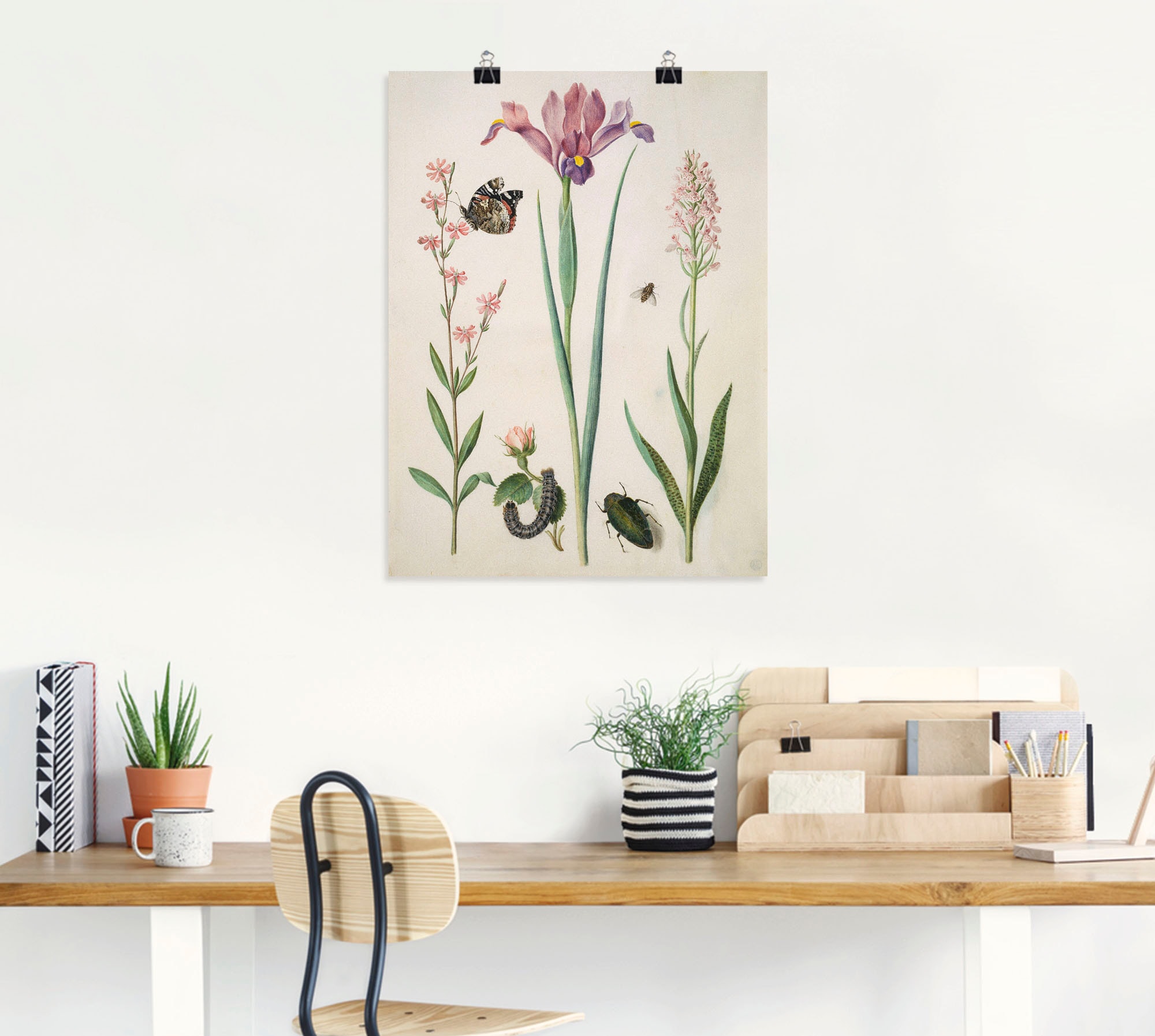 Artland Wandbild »Admiral, Rose Iris Knabenkraut.«, Pflanzen, (1 St.), als Poster, Wandaufkleber in verschied. Größen