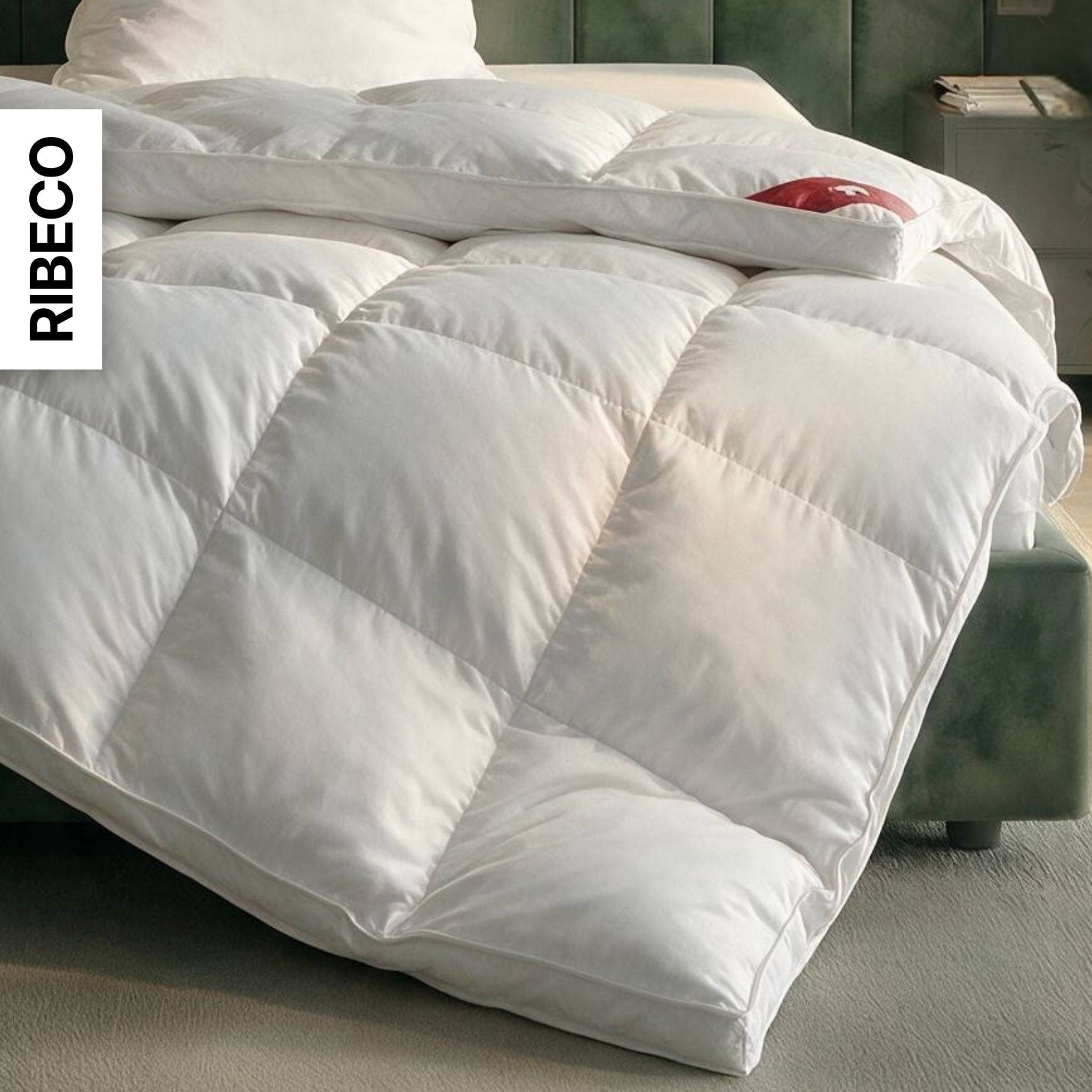 RIBECO Daunenbettdecke »Bettdecke in 135x200 und 155x220cm Topseller,« extrawarm Füllung 80Daunen20Federn 1 Stk. tlg. Daunen und Federn, Made in Germany, mit gratis 80x80 cm Kissen