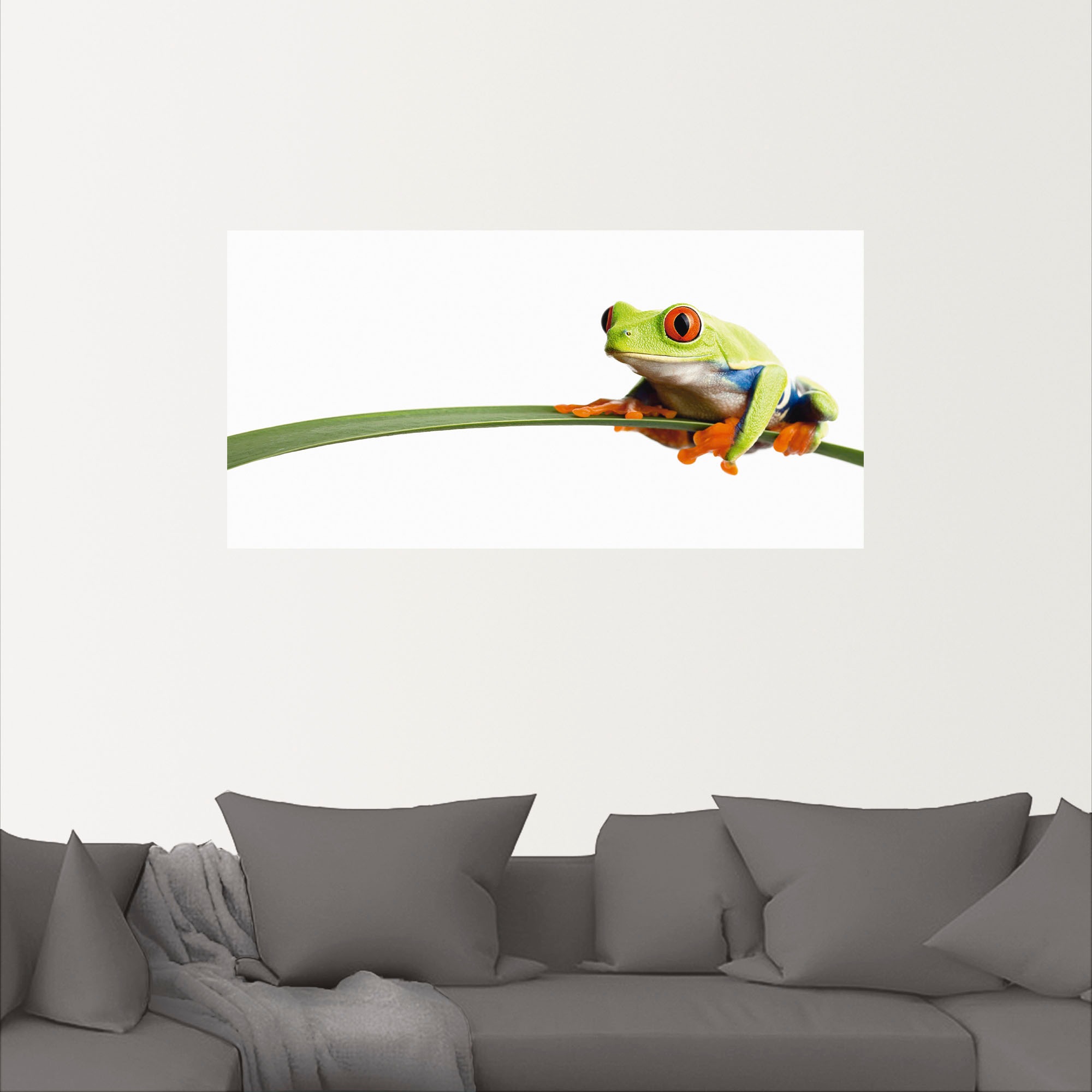 Artland Wandbild "Frosch auf einem Blatt", Wassertiere, (1 St.), als Alubil günstig online kaufen