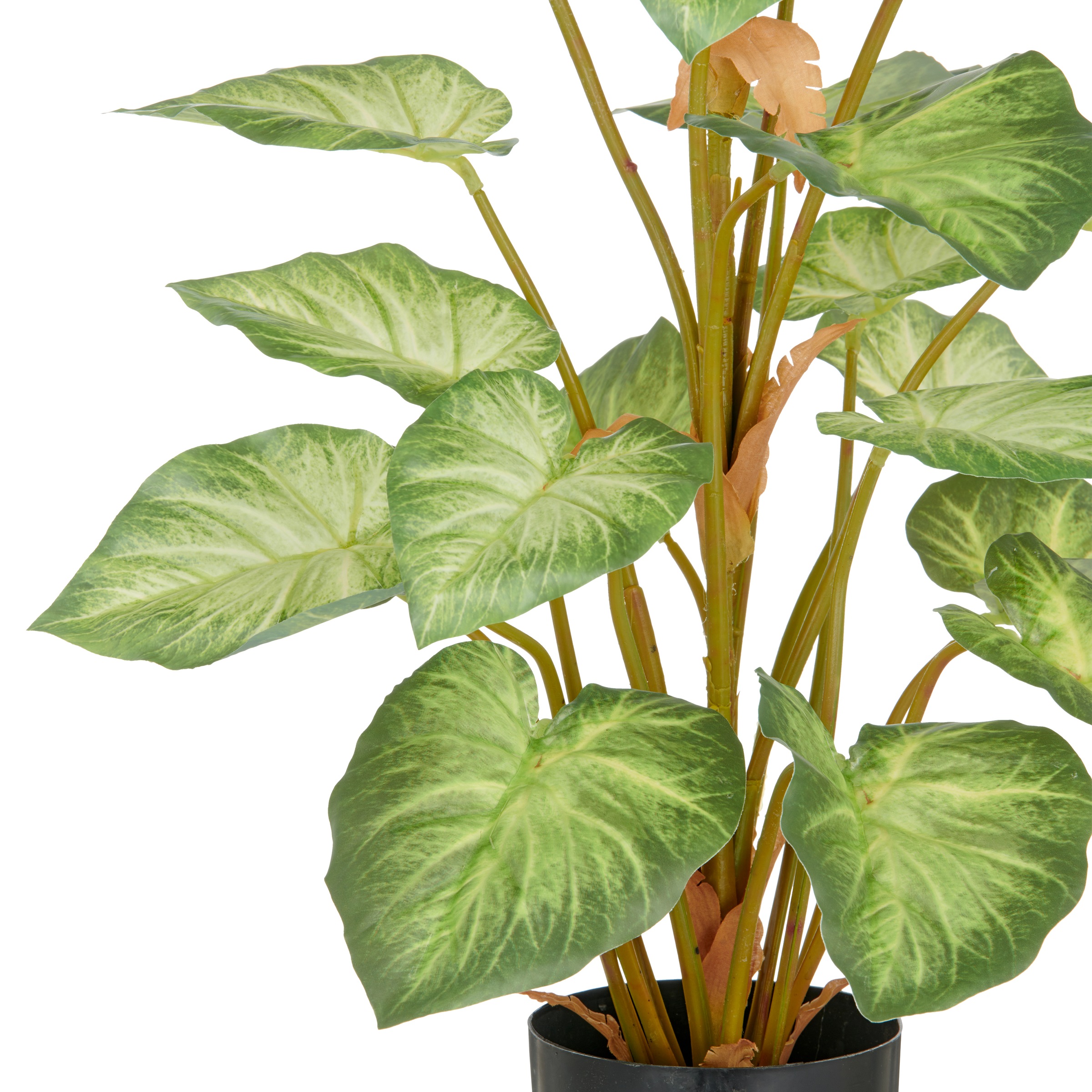 Creativ green Kunstpflanze »Syngonium«, mit schönem Blattwerk