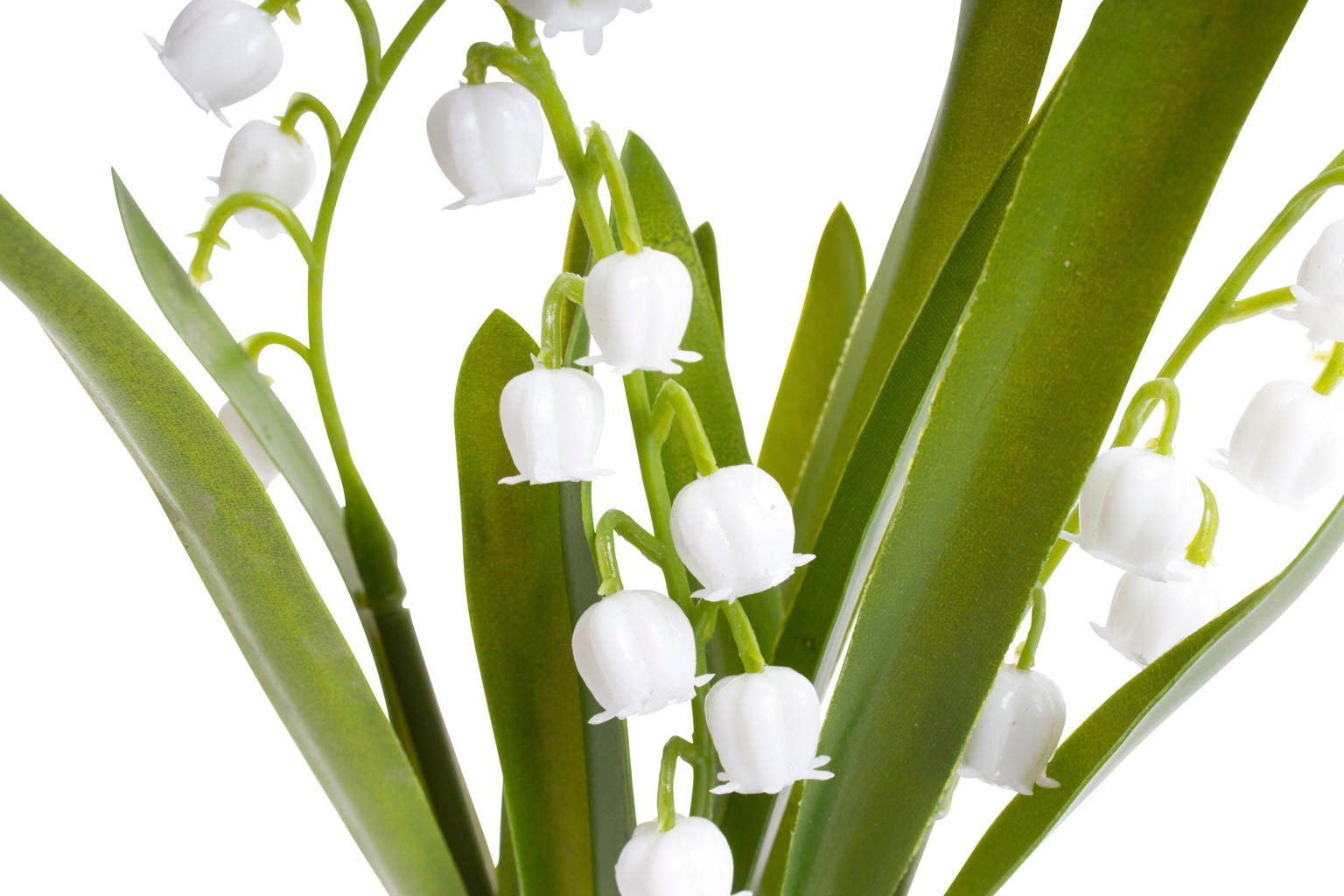 Botanic-Haus Kunstblume "Maiglöckchen im Glas" günstig online kaufen