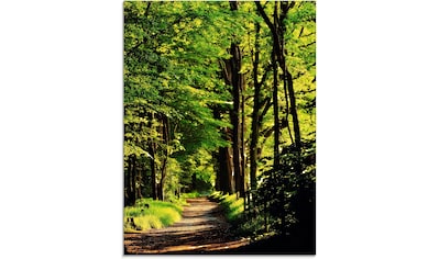 Glasbild »Weg im Wald«, Wald, (1 St.)