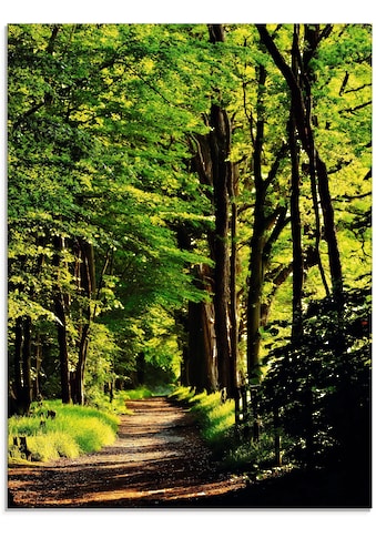 Glasbild »Weg im Wald«, Wald, (1 St.)