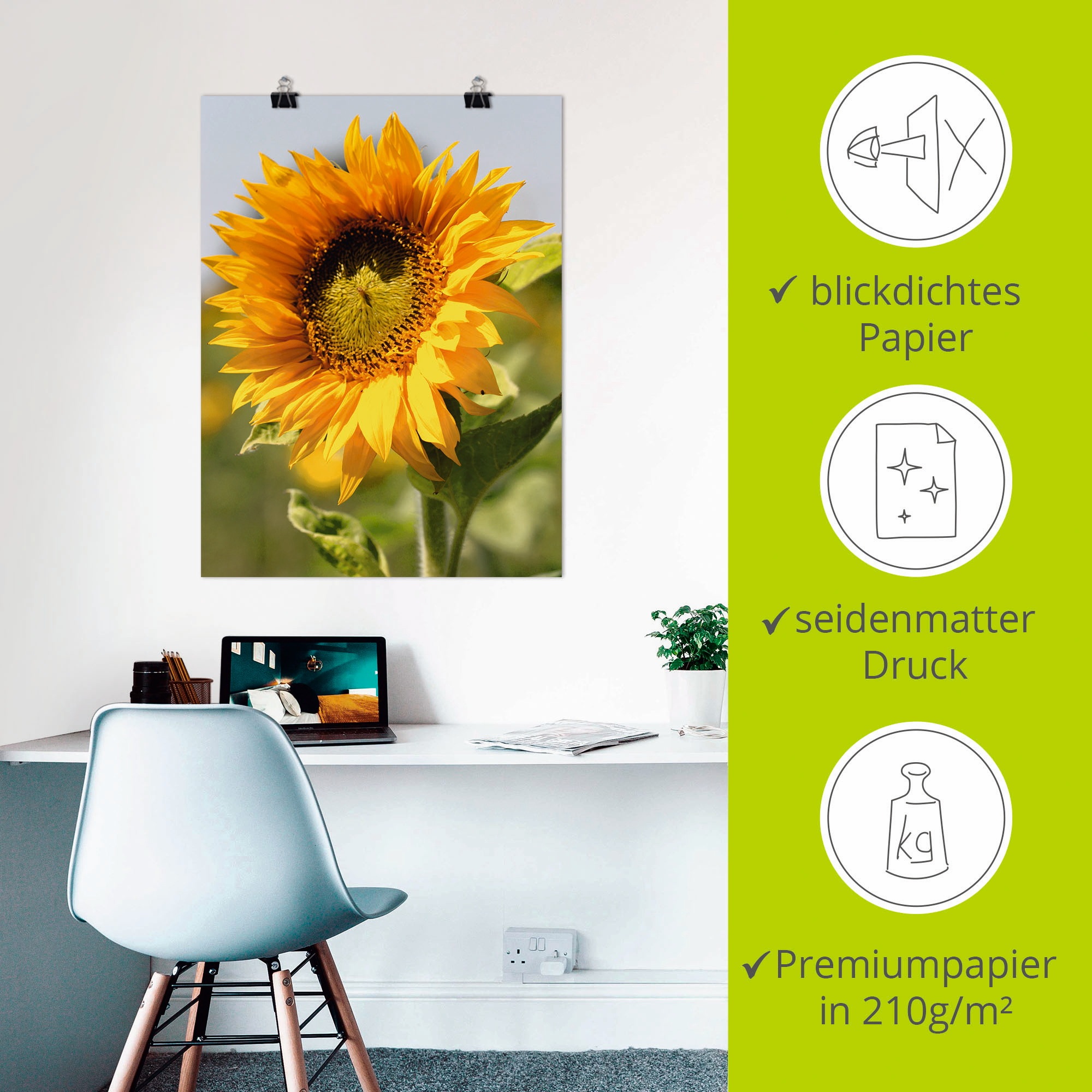 Artland Wandbild »Sonnenblume«, Blumen, (1 St.), als Leinwandbild, Poster, Wandaufkleber in verschied. Größen