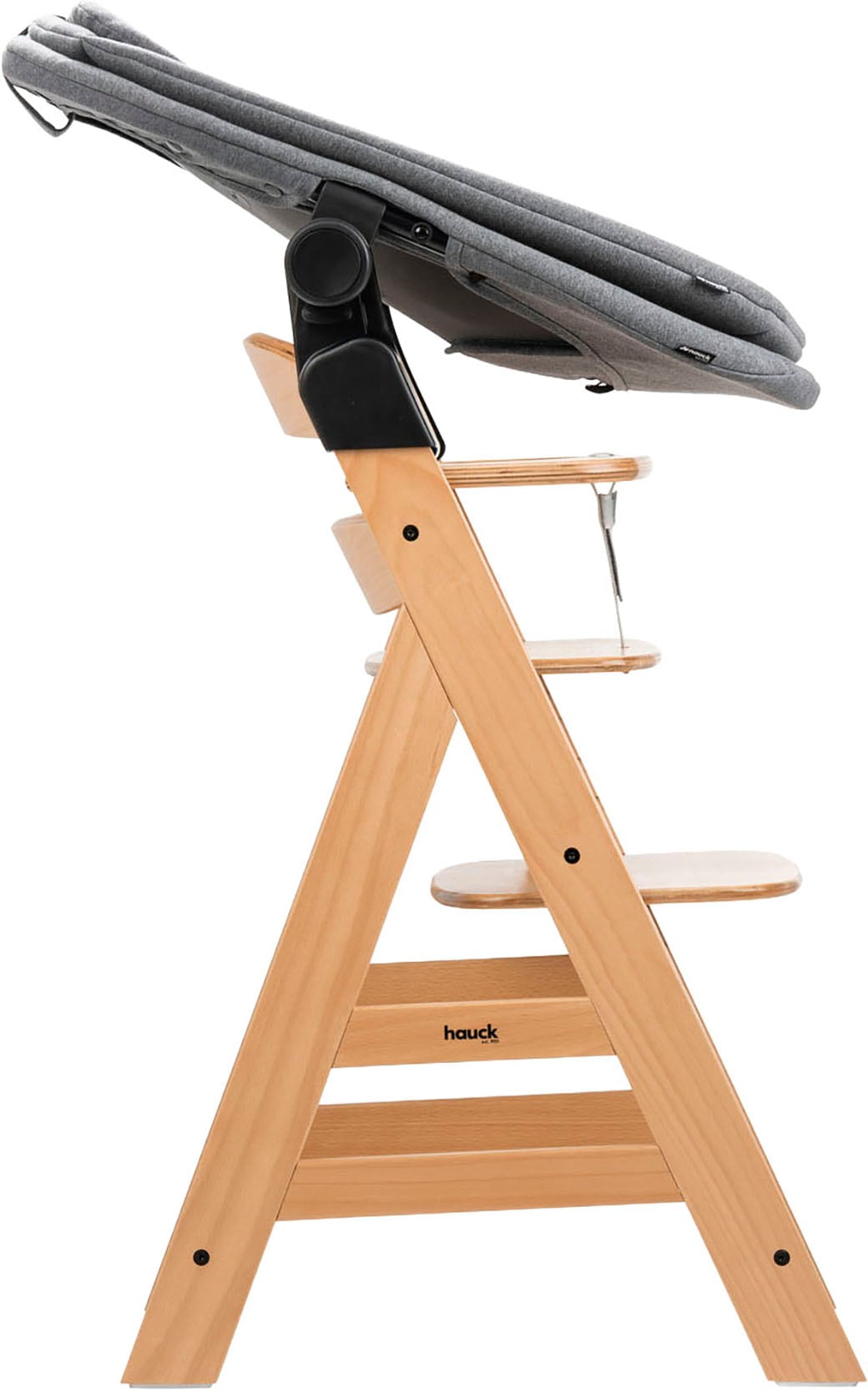 Hauck Hochstuhl »Hochstuhl Alpha+ Pro, mit Newborn-Aufsatz« () dieses Produkt besteht aus FSC®-zertifiziertem Material