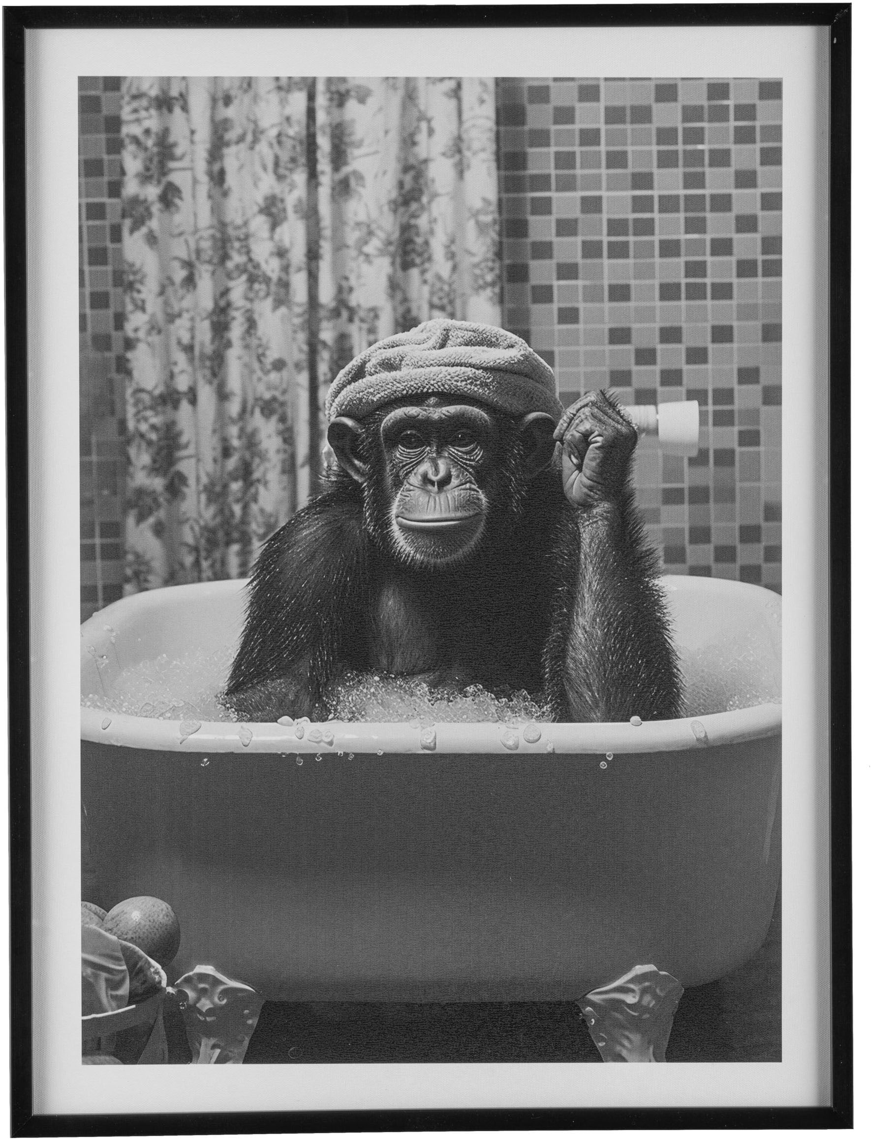 Creativ home "Leinwandbild Affe in Badewanne" 1 Stk. tlg. mit Rahmen