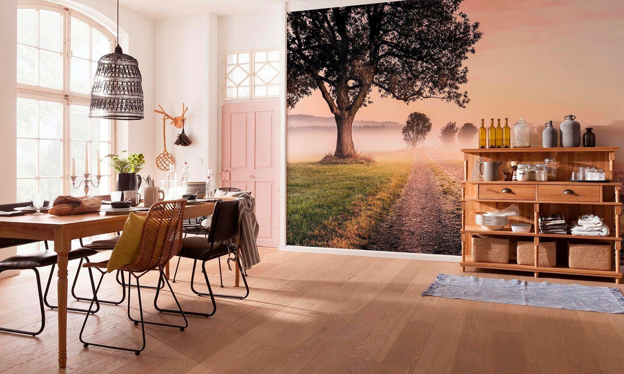 Komar Vliestapete »Digitaldruck Vlies - Misty Morning - Größe 400 x 250 cm«, bedruckt, Wohnzimmer, Schlafzimmer