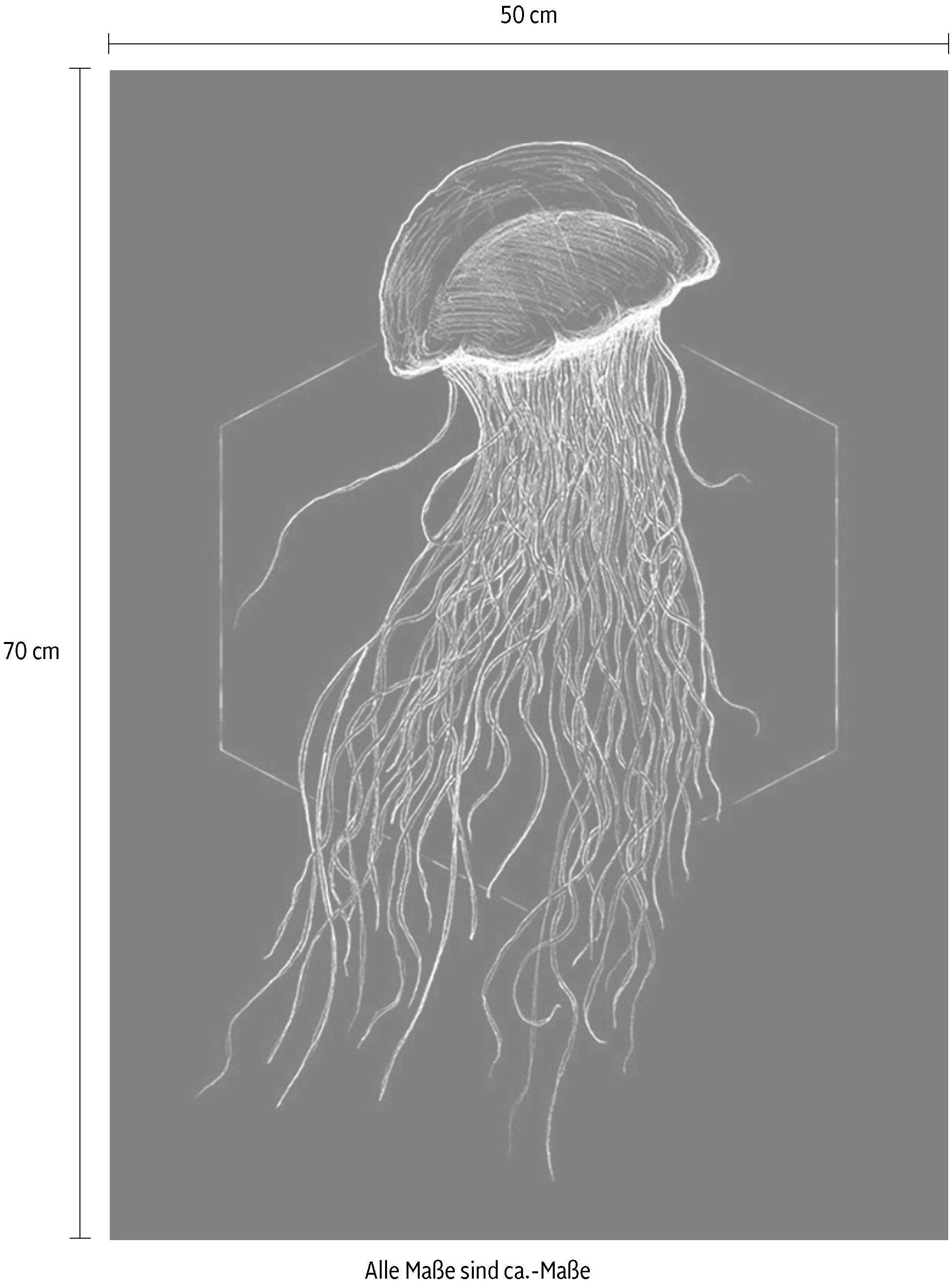 Komar Bild »Jellyfish Black«, Tiere, (1 St.), Wandbild zur Dekoration - ohne Rahmen