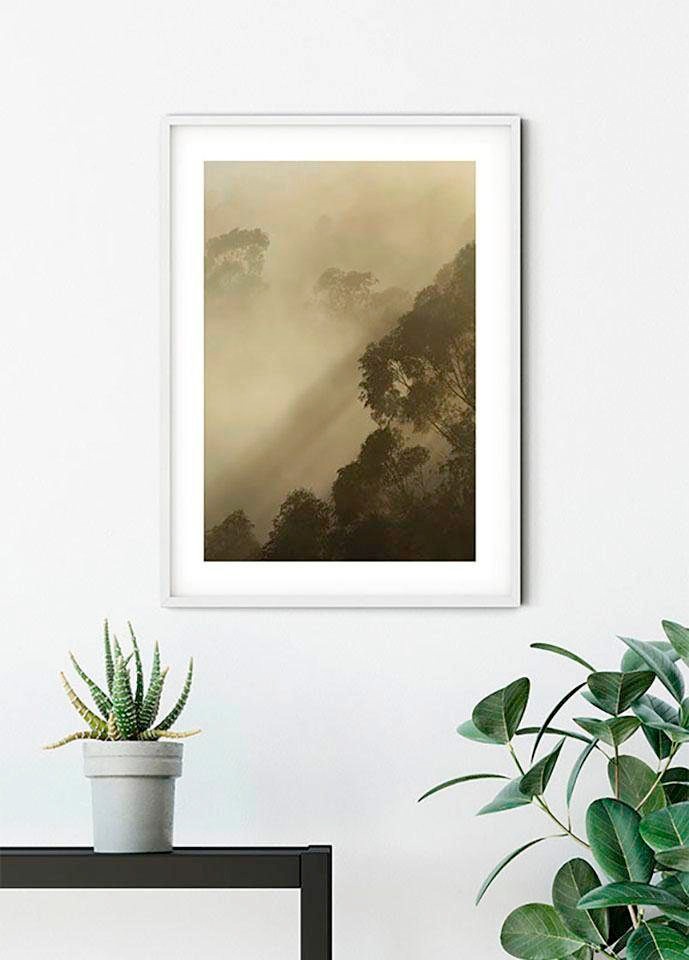 Komar Bild »Golden Light« Natur 1 Stk. tlg. Wandbild zur Dekoration - ohne Rahmen