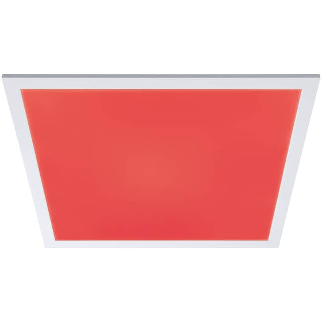 Paulmann LED Panel »Amaris«, 1 flammig-flammig kaufen | BAUR