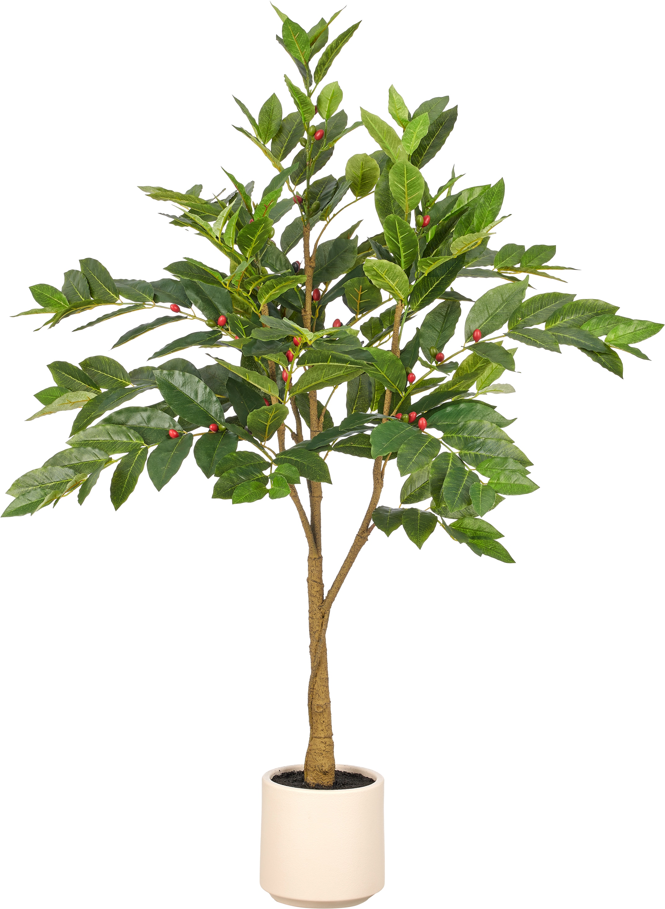 Creativ green Kunstbaum "Coffea" mit Deko-Früchten
