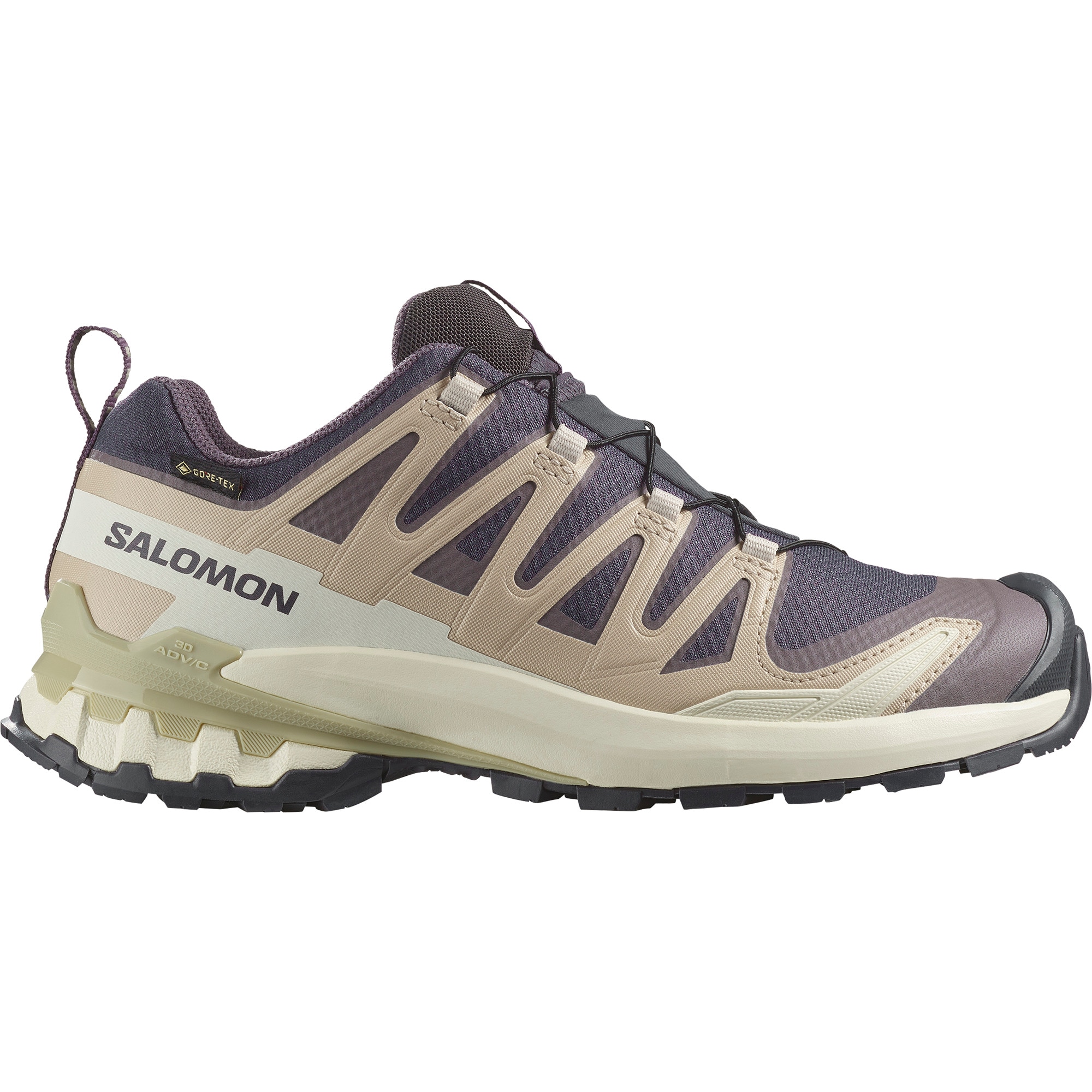 Salomon Trailrunningschuh »XA PRO 3D V9 GTX W«, wasserdicht