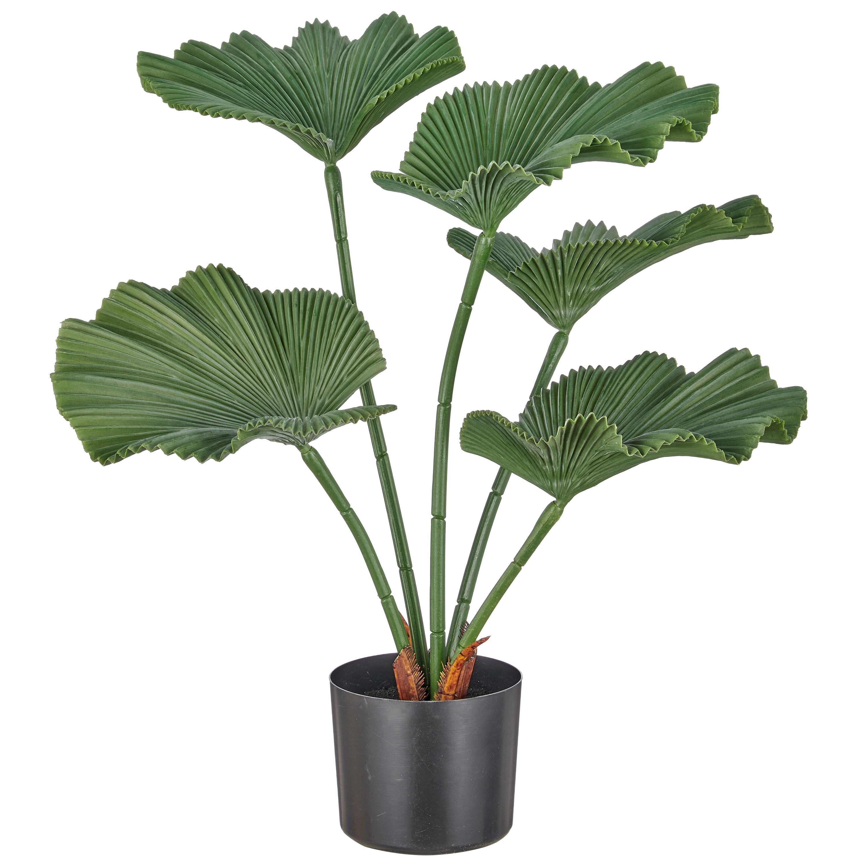 Creativ green Kunstpalme "Strahlenpalme" im modernen Design