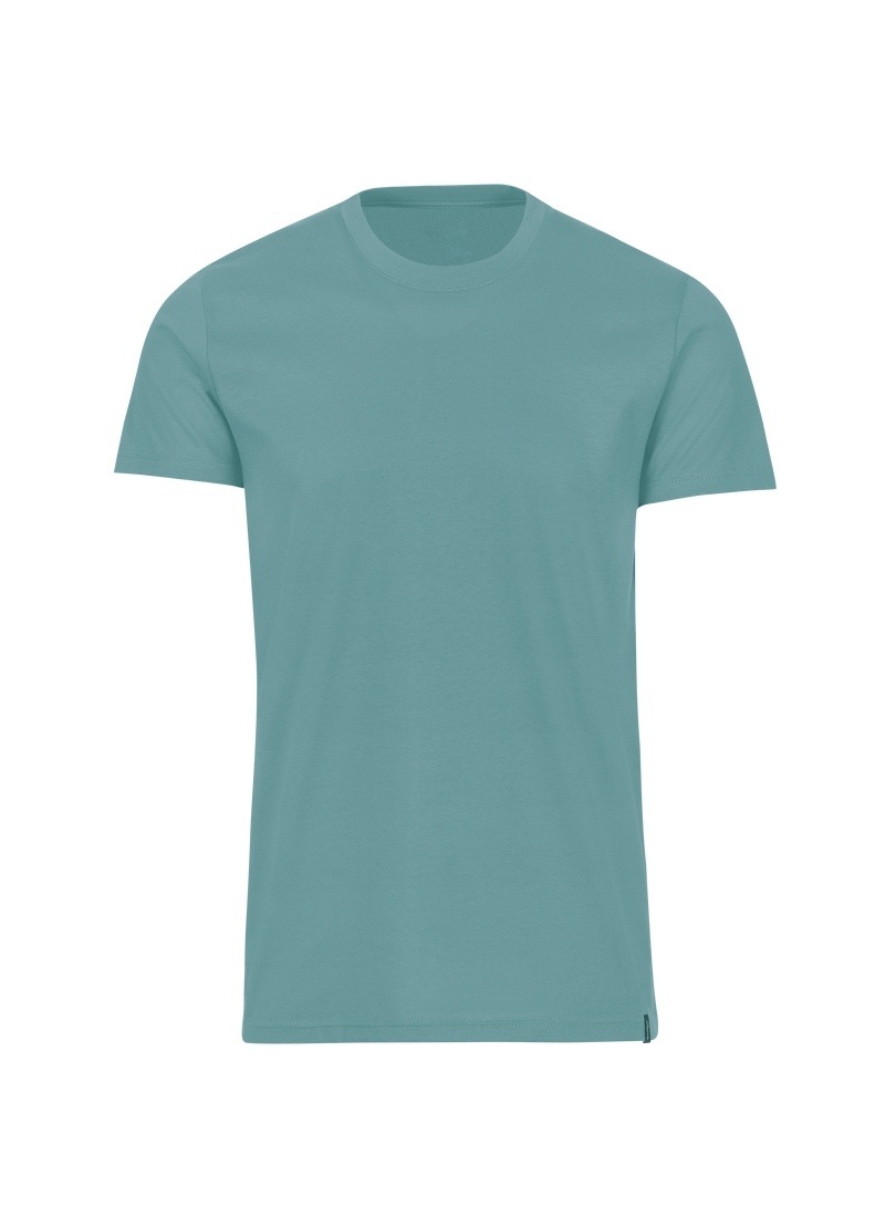 Trigema T-Shirt »TRIGEMA Slim Fit T-Shirt aus DELUXE Baumwolle«, (1 tlg.)