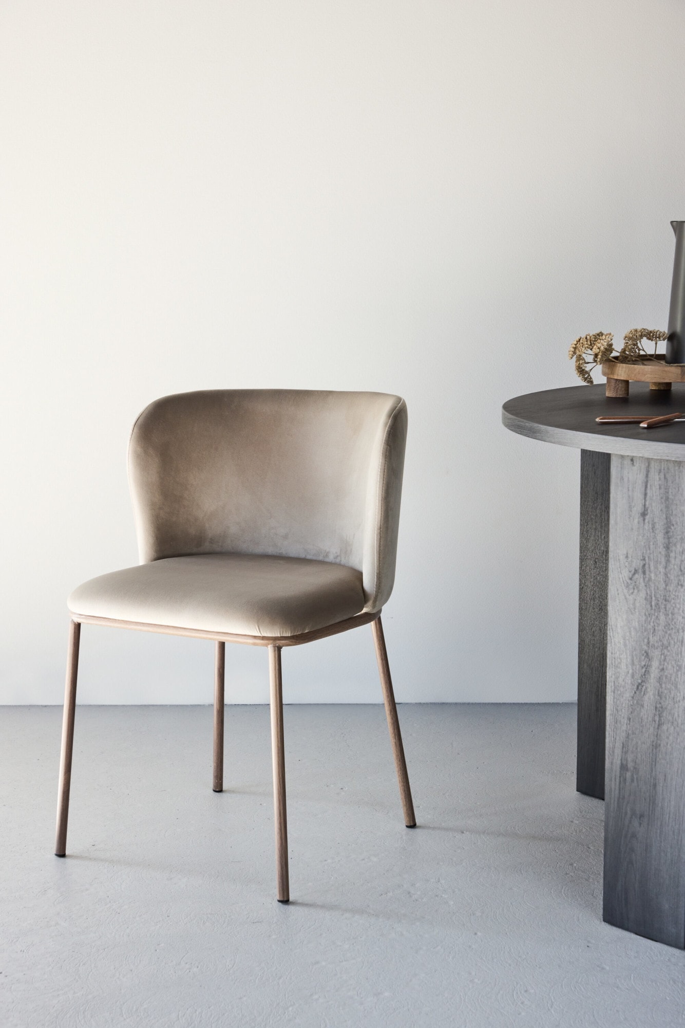 Venture Home Esszimmerstuhl »Edina, 2er-Set Esszimmerstühle in Samt, gepolstert, 120 kg belastbar« () Polsterstuhl, Samt-Bezug, Stahlbeine, weich, modern