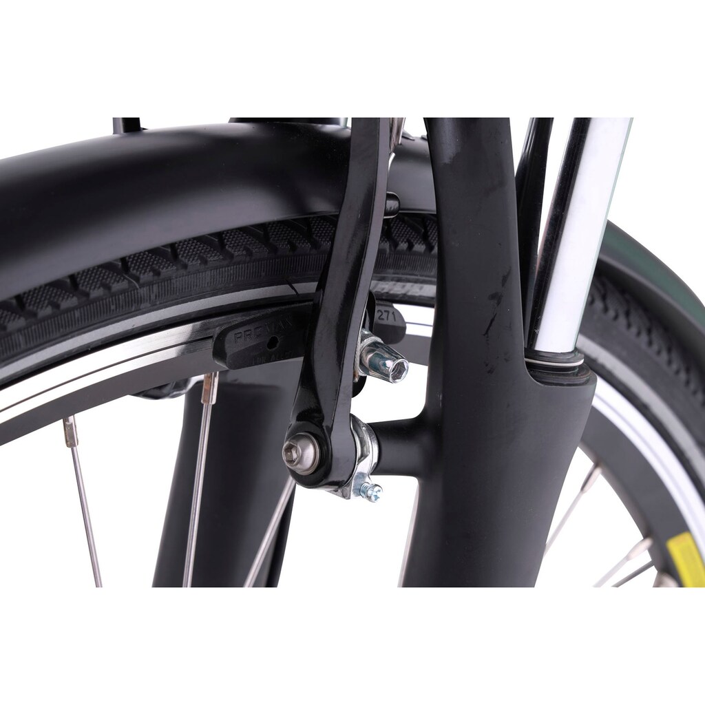 LLobe E-Bike »Metropolitan JOY 2.0 pastellgrün 36V / 15,6Ah«, 7 Gang, Shimano, 7-Gang Shimano Nexus Nabenschaltung, Frontmotor 250 W
