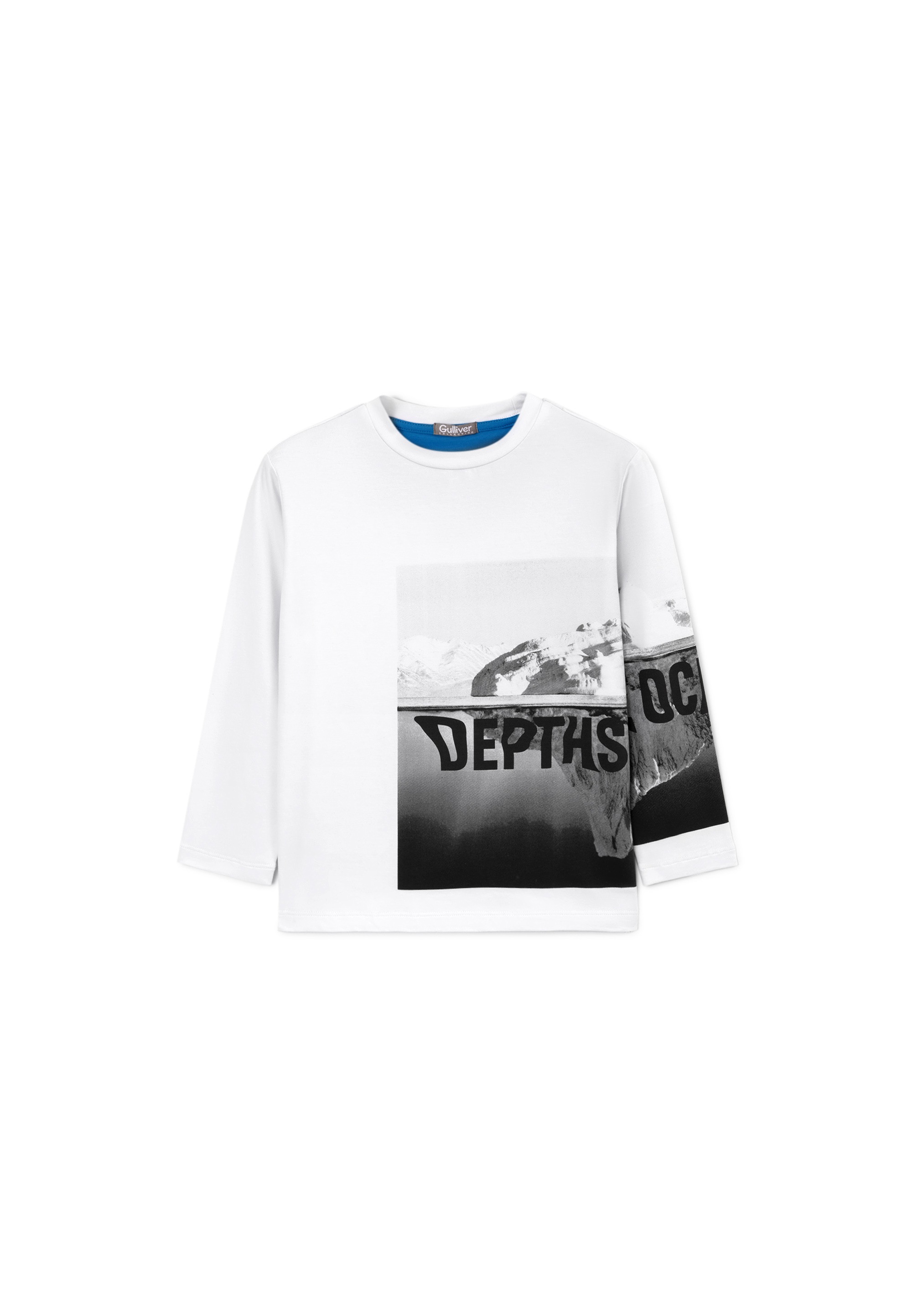 Gulliver Langarmshirt, mit großem Fotodruck