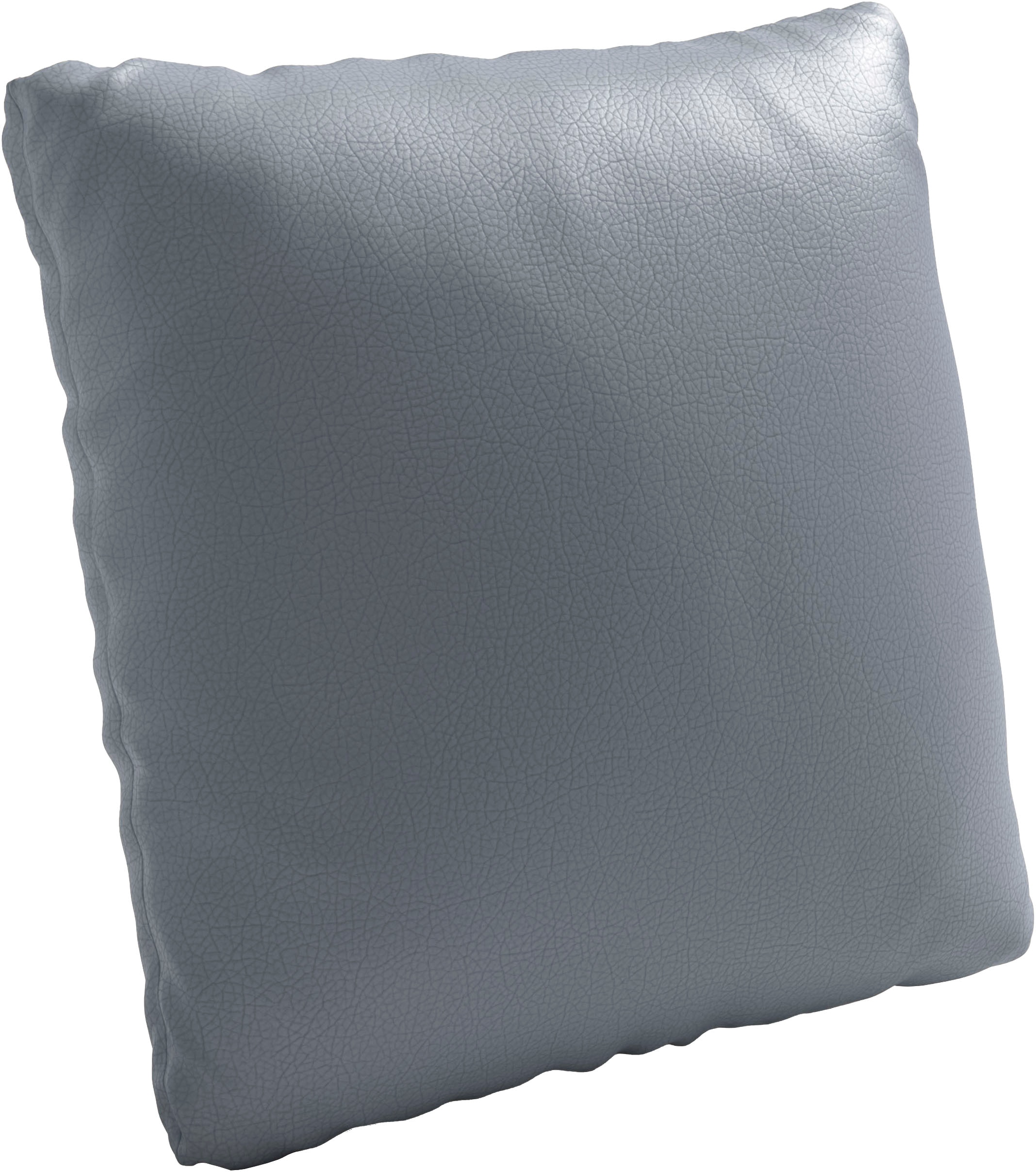 Polsterauflage SIT & MORE "Morris Jubi", graublau, B:45cm H:45cm T:12cm, Polsterauflagen, Polsterauflage