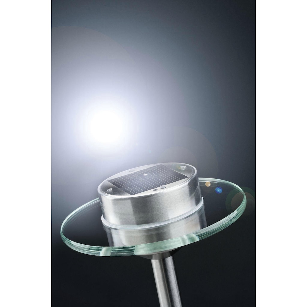 Paulmann LED Gartenleuchte »Solarspieß Ufo IP44 LED 1x0,2W Edelstahl/Klar Edelstahl/Glas«, 1 flammig-flammig, LED-Modul