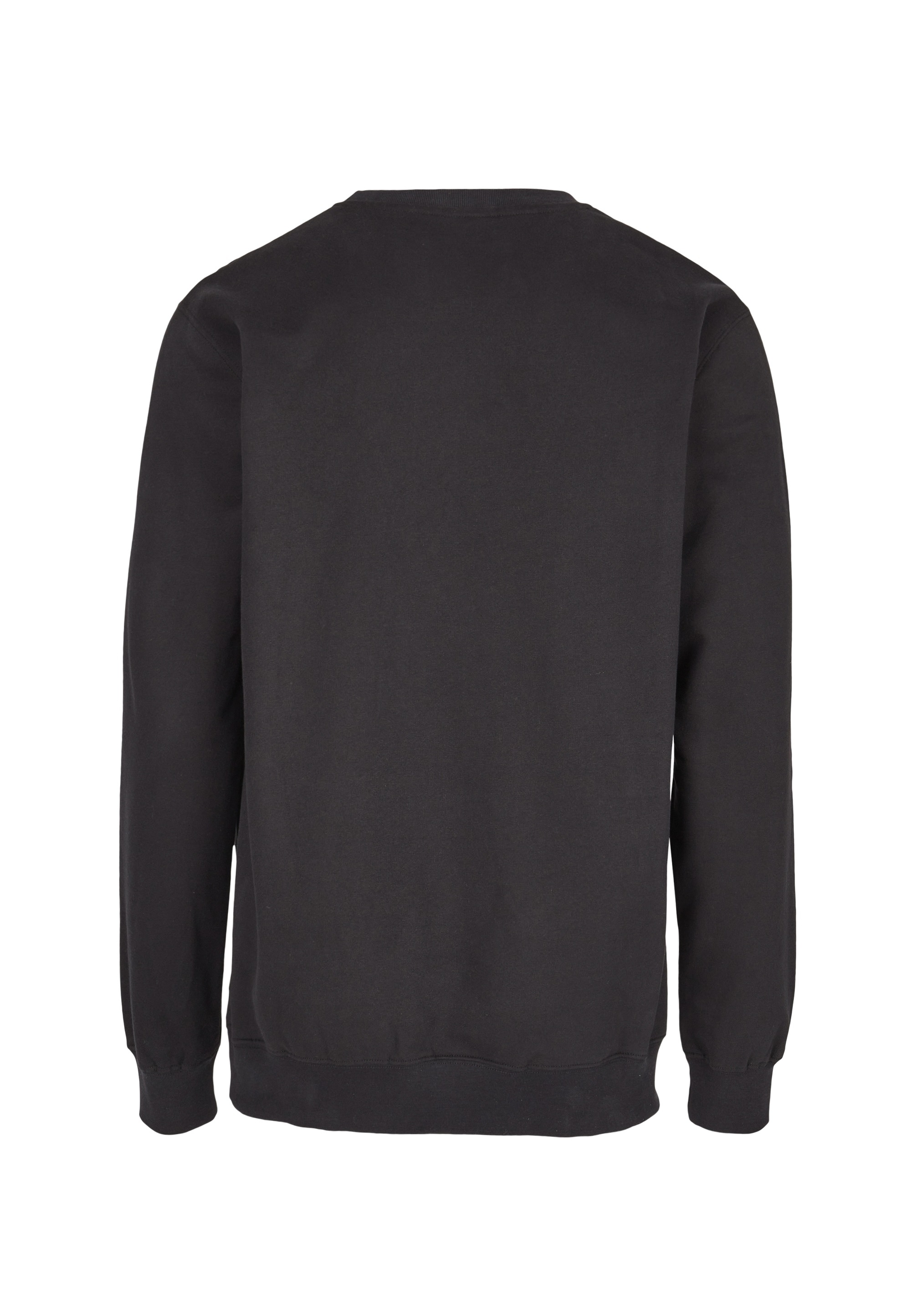 Cleptomanicx Sweatshirt »Ligull«, mit kleiner Möwen-Stickerei