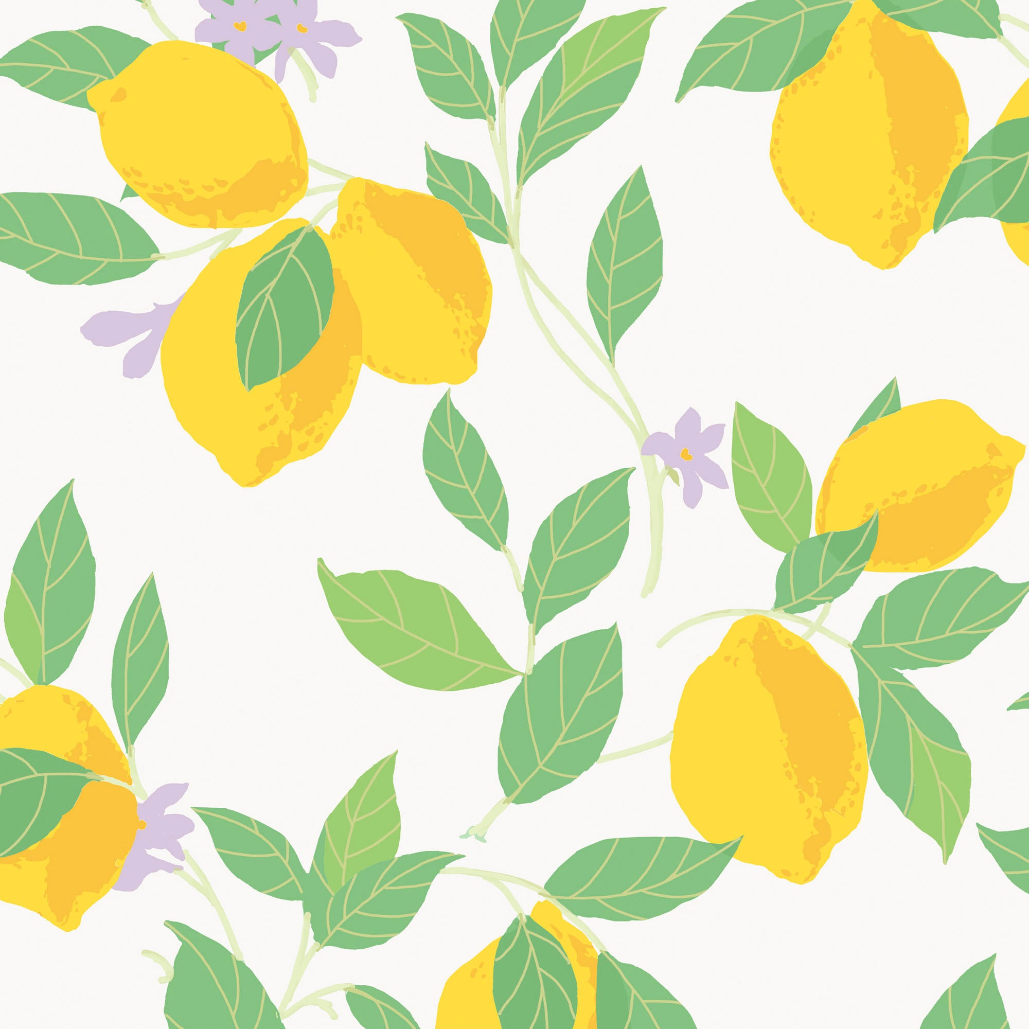 Envy Wallpaper Feeling Fruity 118619