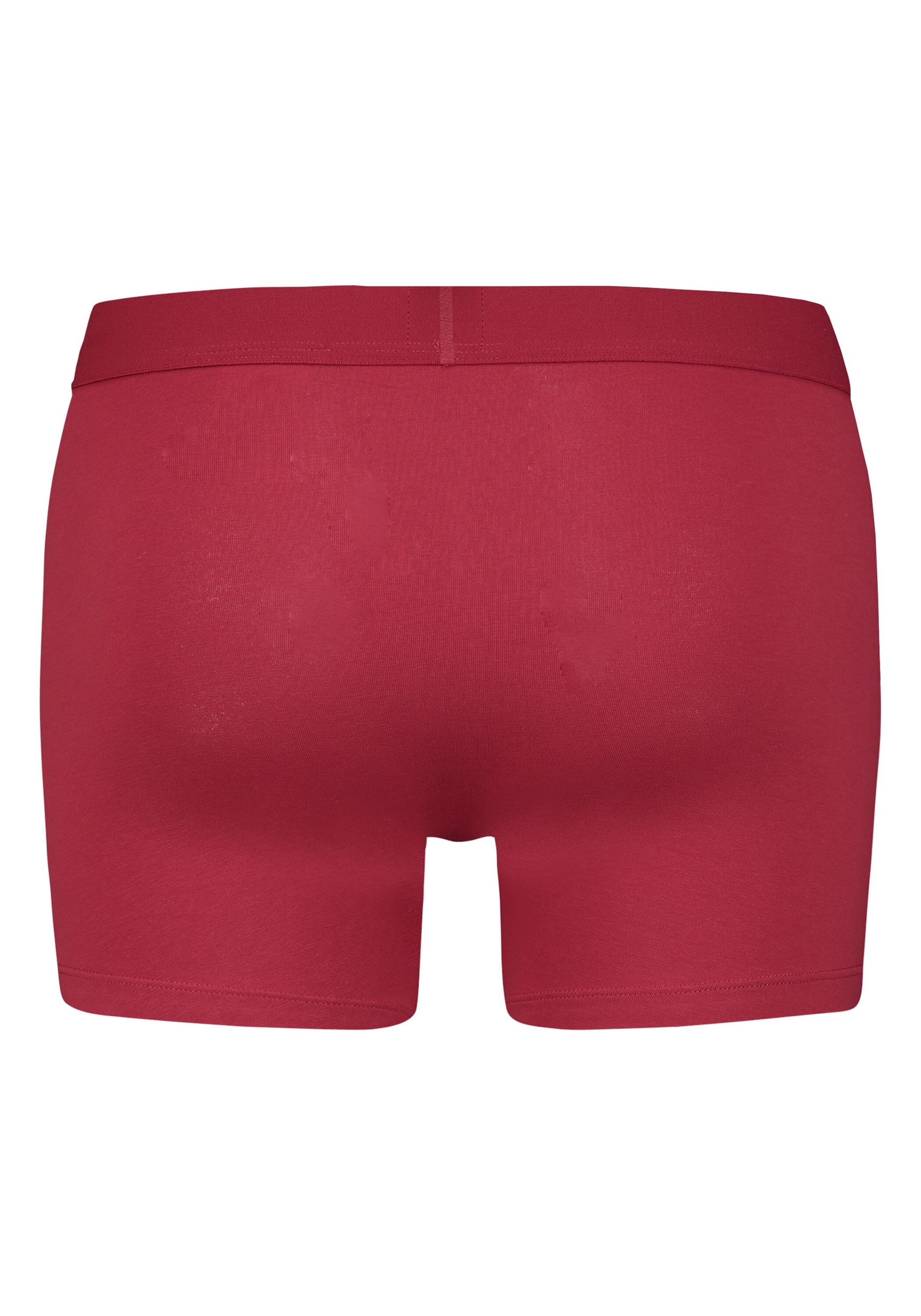 Levi's® Boxershorts »Boxershort MEN SOLID BASIC BOXER & VINTAGE STRIPE 4P 4er Pack«