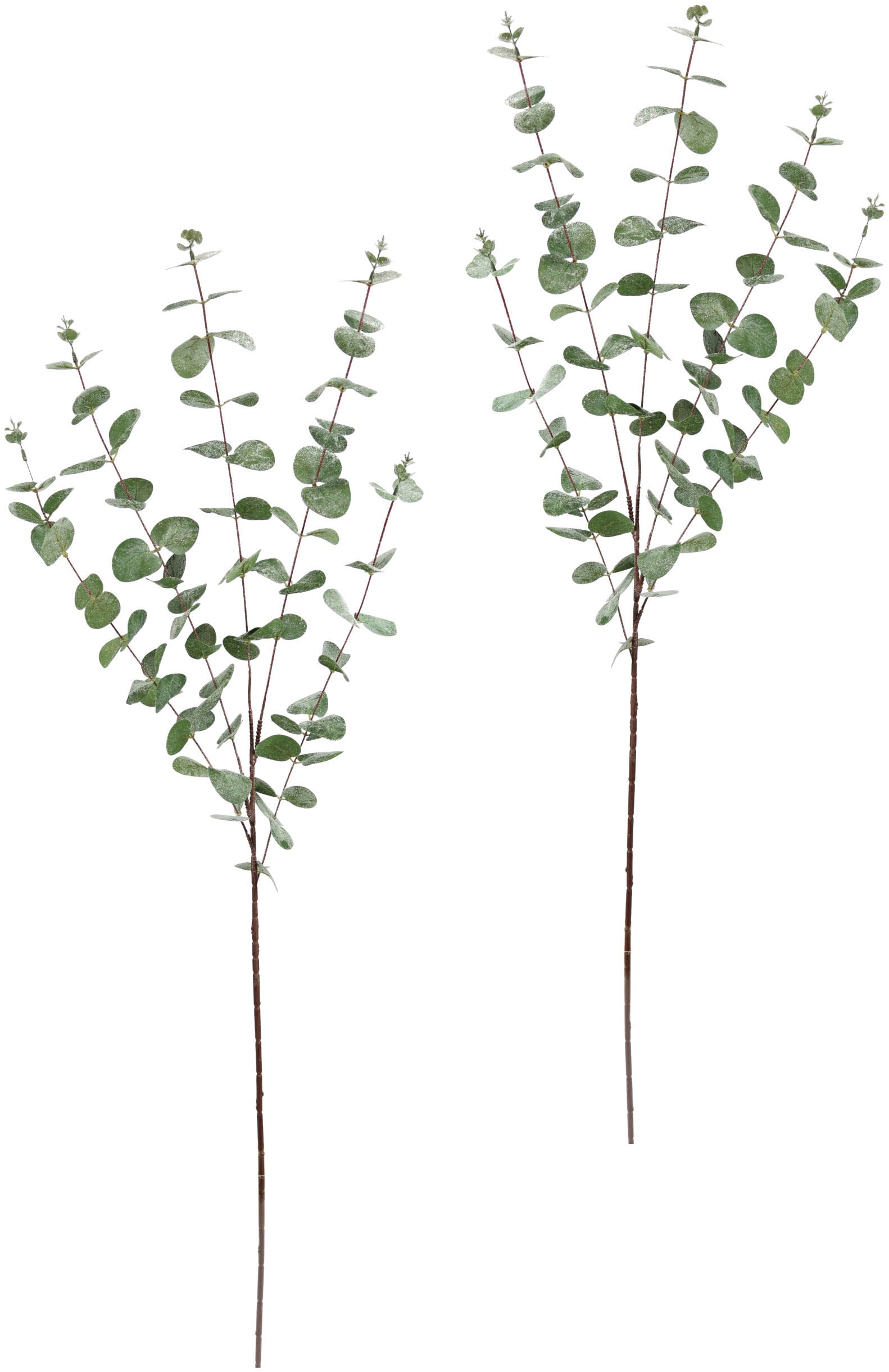 2er Kunstpflanze Kunstblume | Sale BAUR Eukalyptuszweig, »Kunstzweig, Set, I.GE.A. Weihnachtsdeko,«, Winterliche Dekozweig im im