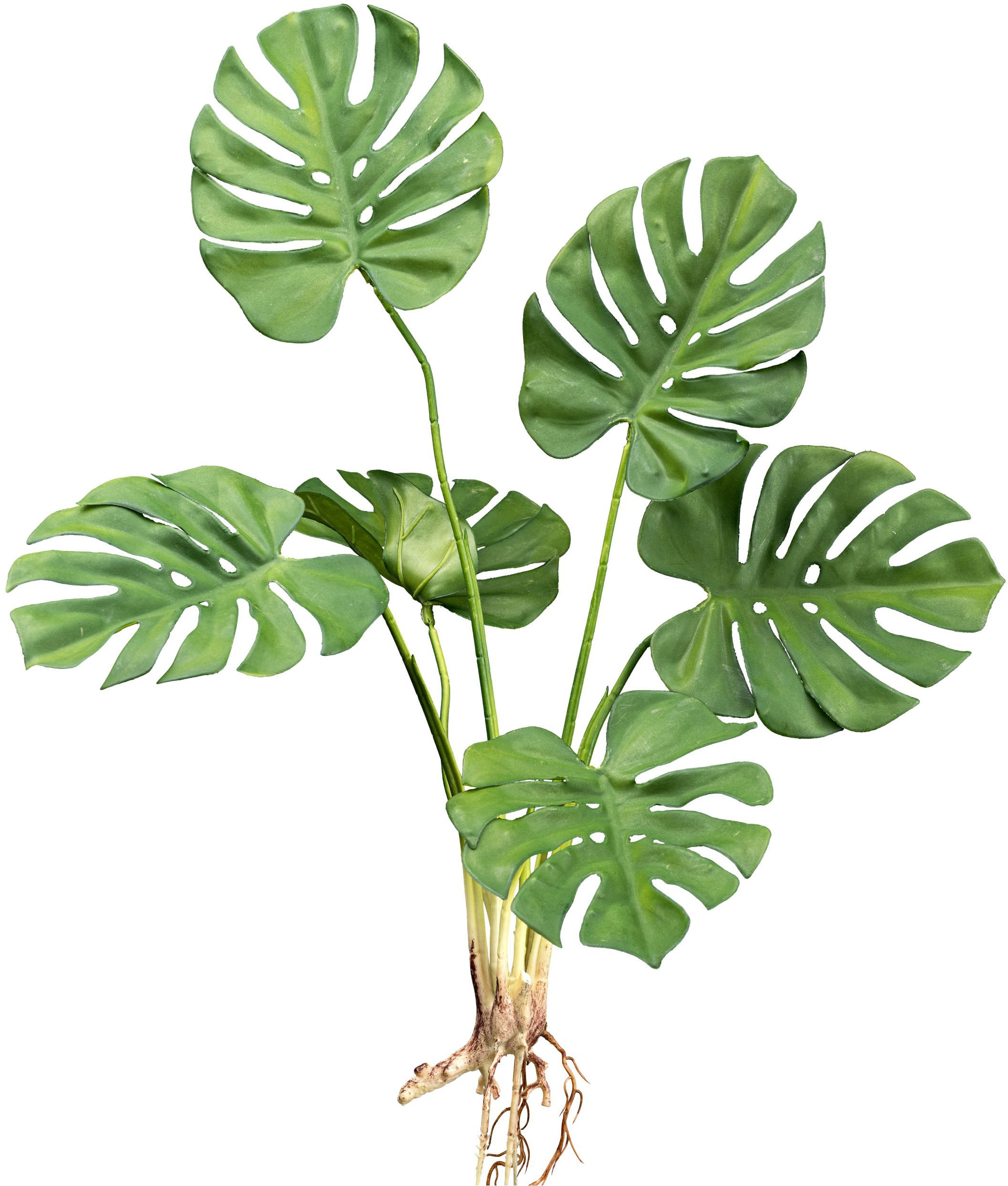 Creativ green Kunstpflanze »Splitphilodendron«, mit detailgetreuem Blattwerk und Wurzeln