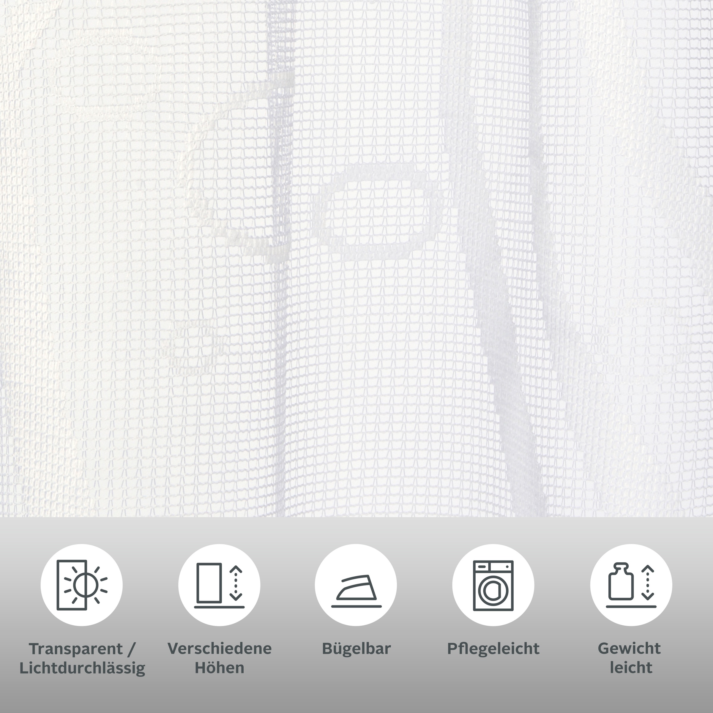 Thumbnail - my home Scheibengardine "Ramon" Stangendurchzug 1 Stk. tlg. Transparent, Jacquard, Polyester