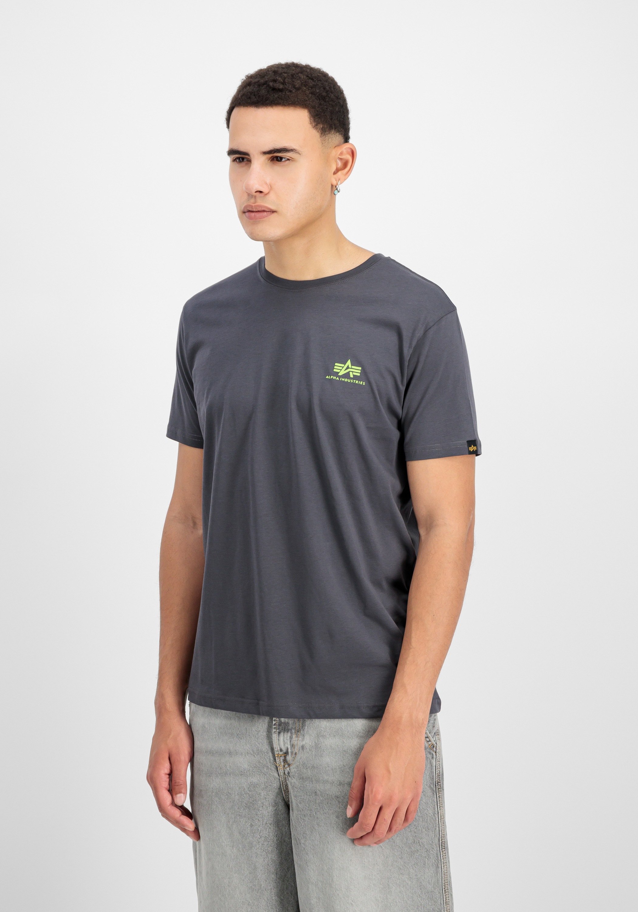 Alpha Industries T-Shirt »Backprint T-Shirt«