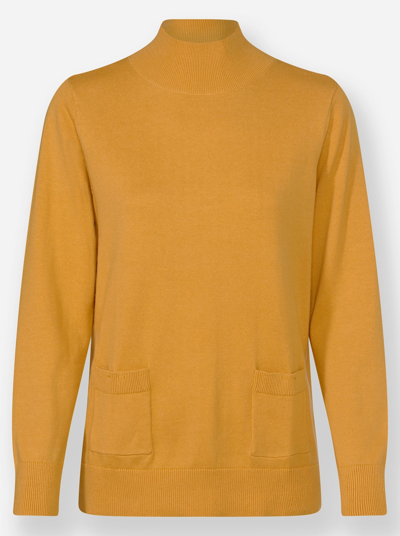 Inspirationen Stehkragenpullover »Stehkragen-Pullover«