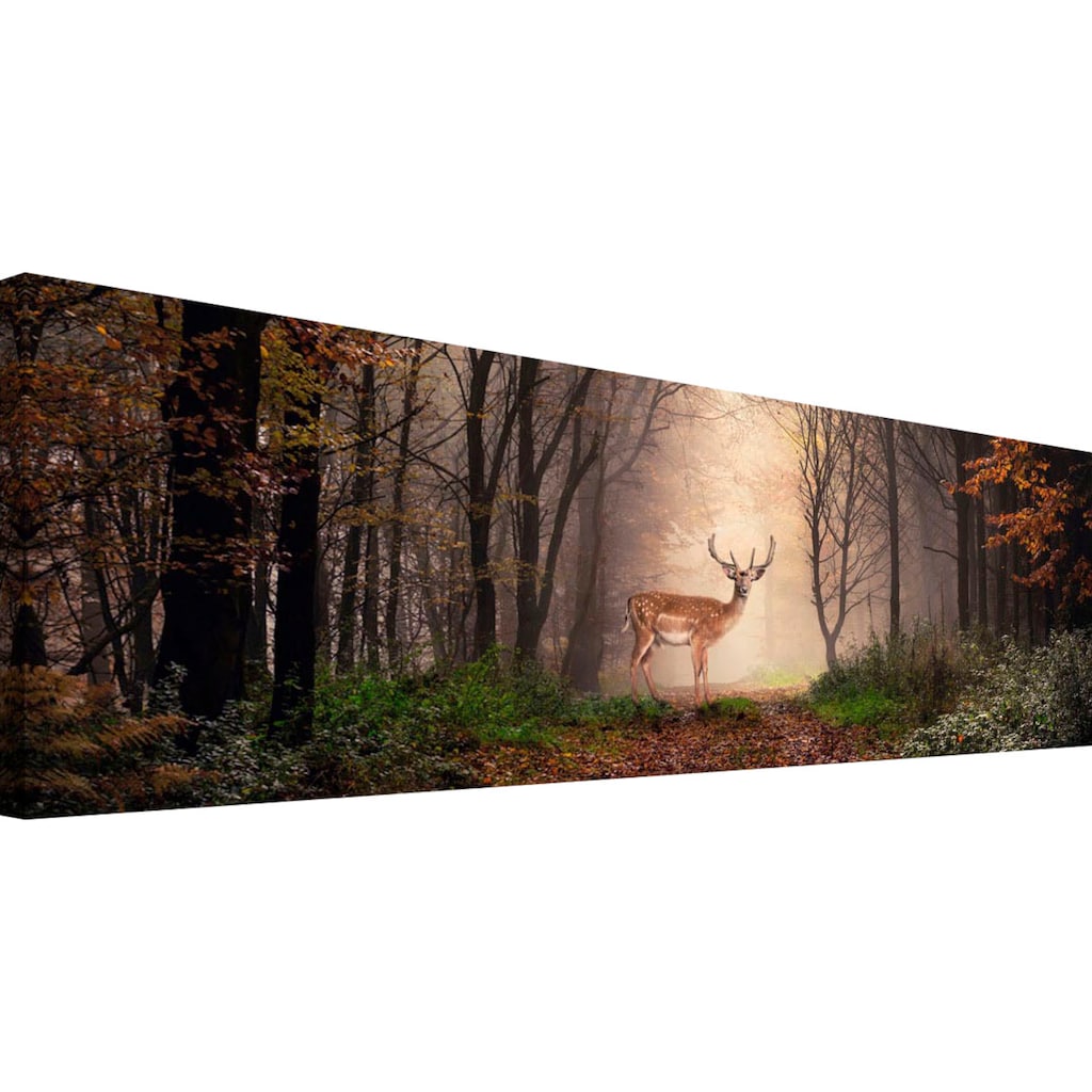 Reinders! Holzbild »Deco Block 40x118 Majestic Deer«