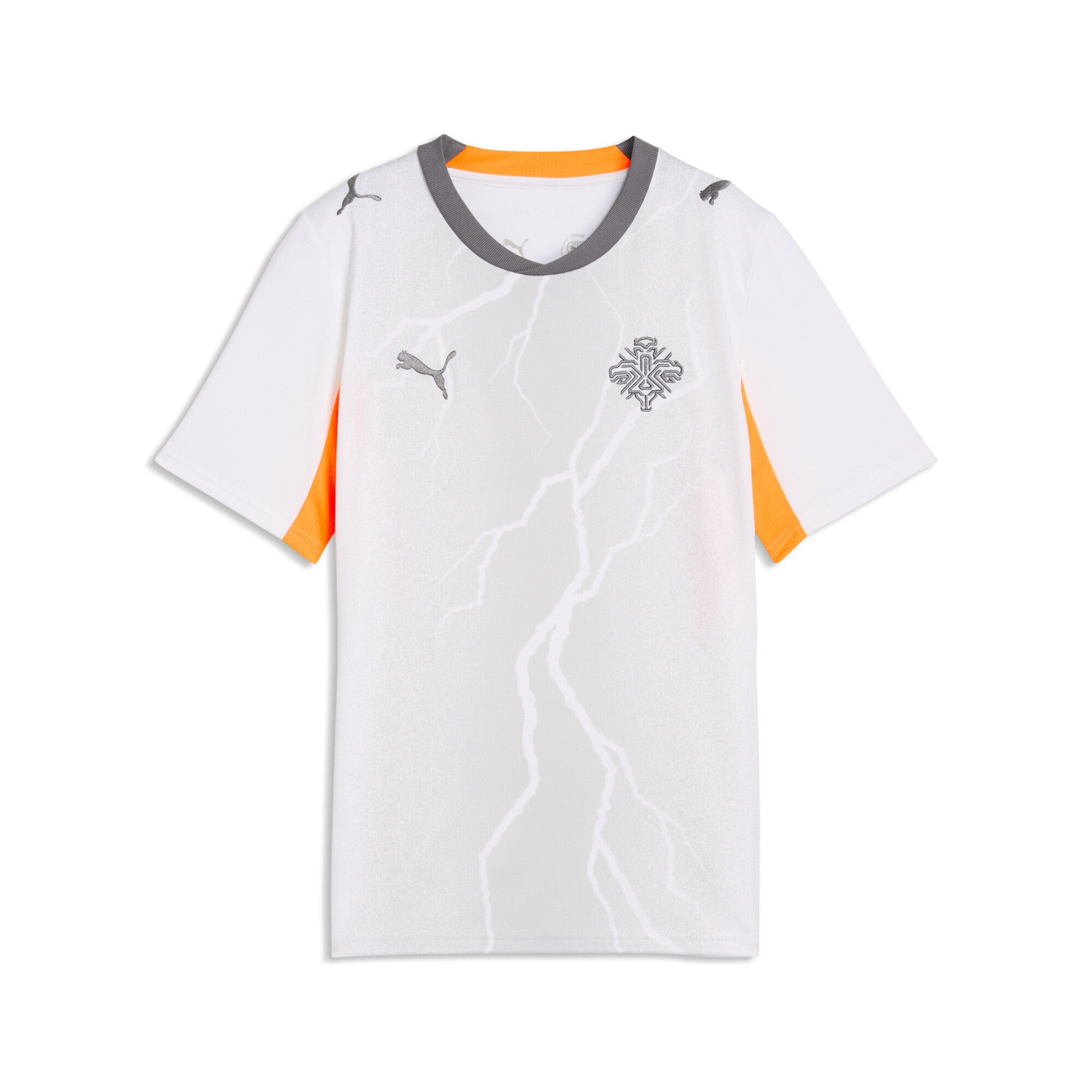 PUMA Trainingsshirt "Island 2026 Auswärtstrikot Jugendliche"