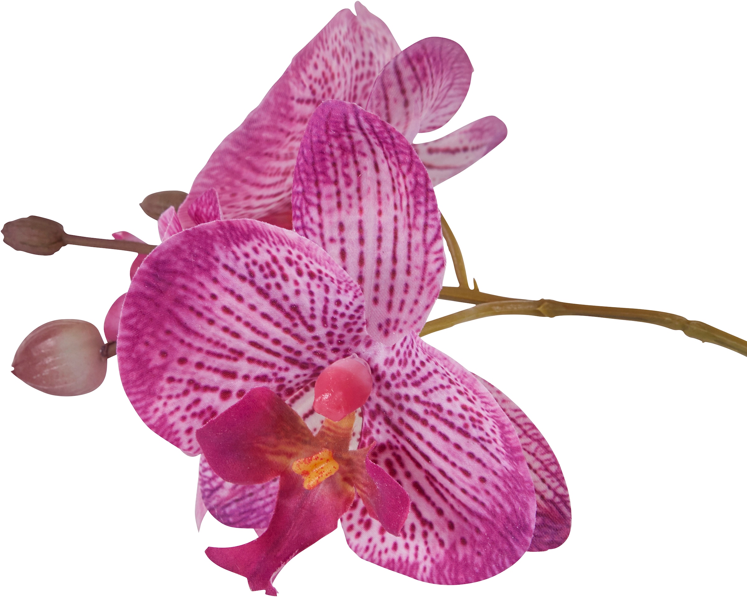 Home affaire »Orchidee«, Topf Kunstpflanze BAUR im | bestellen Kunstorchidee