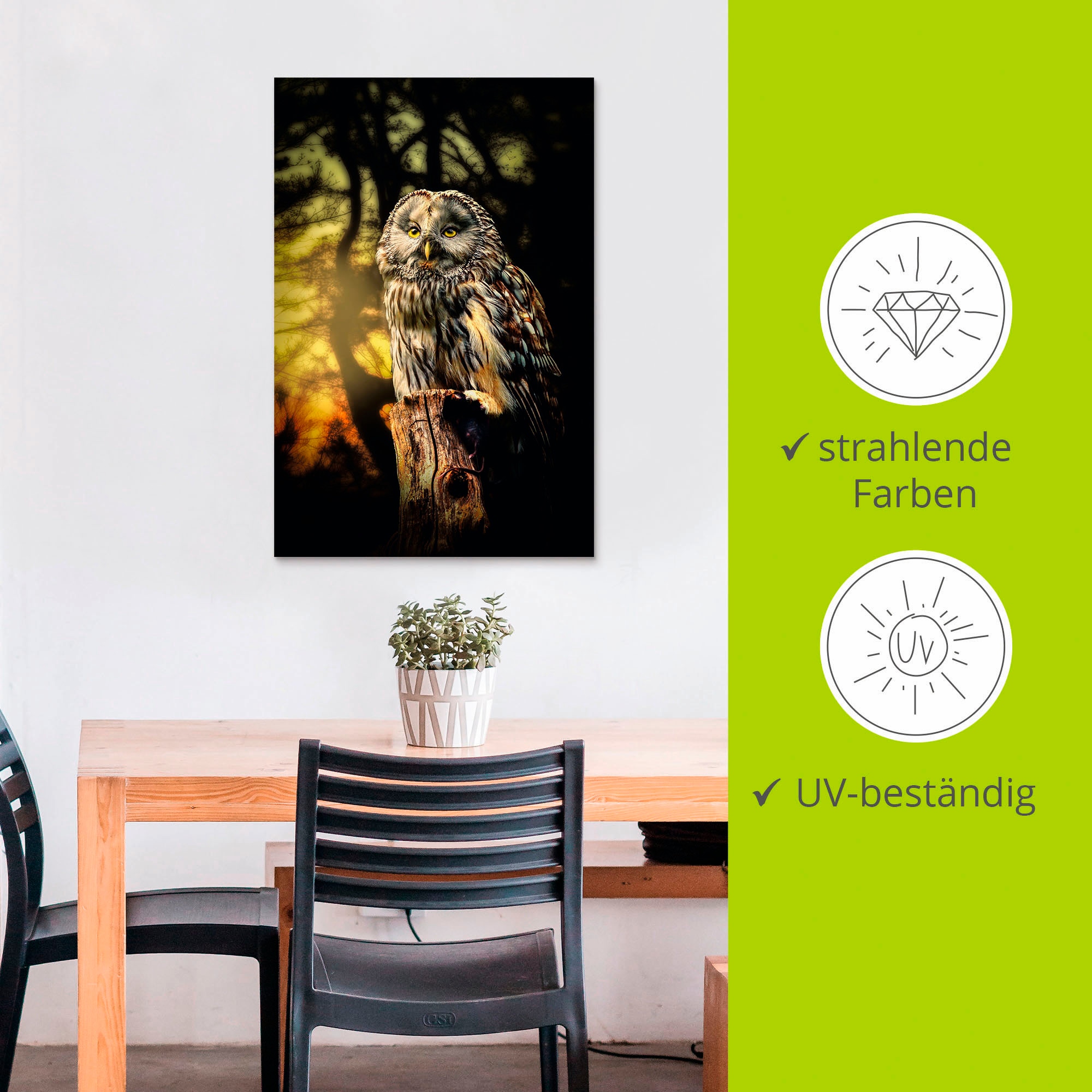 Artland Wandbild »Eule« Vögel 1 Stk. tlg. als Alubild, Outdoorbild, Leinwandbild, Poster in verschied. Größen