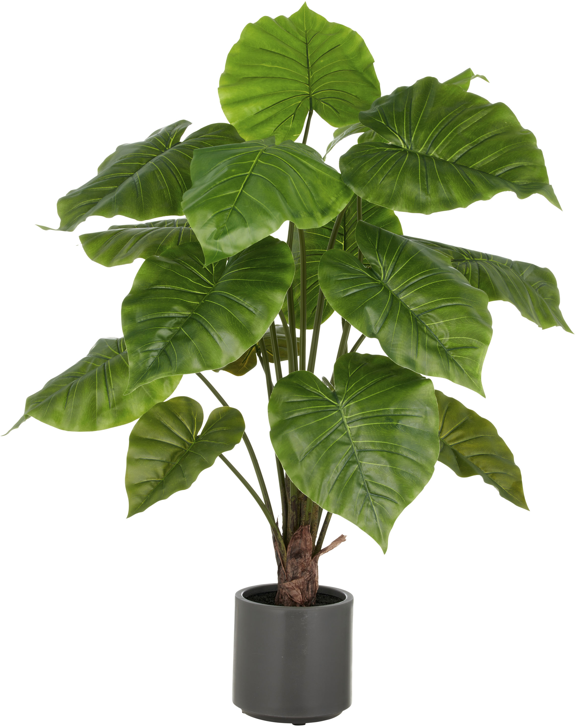 Creativ green Kunstpflanze "Alocasia Wentii" mit naturgetreuem Blattwerk