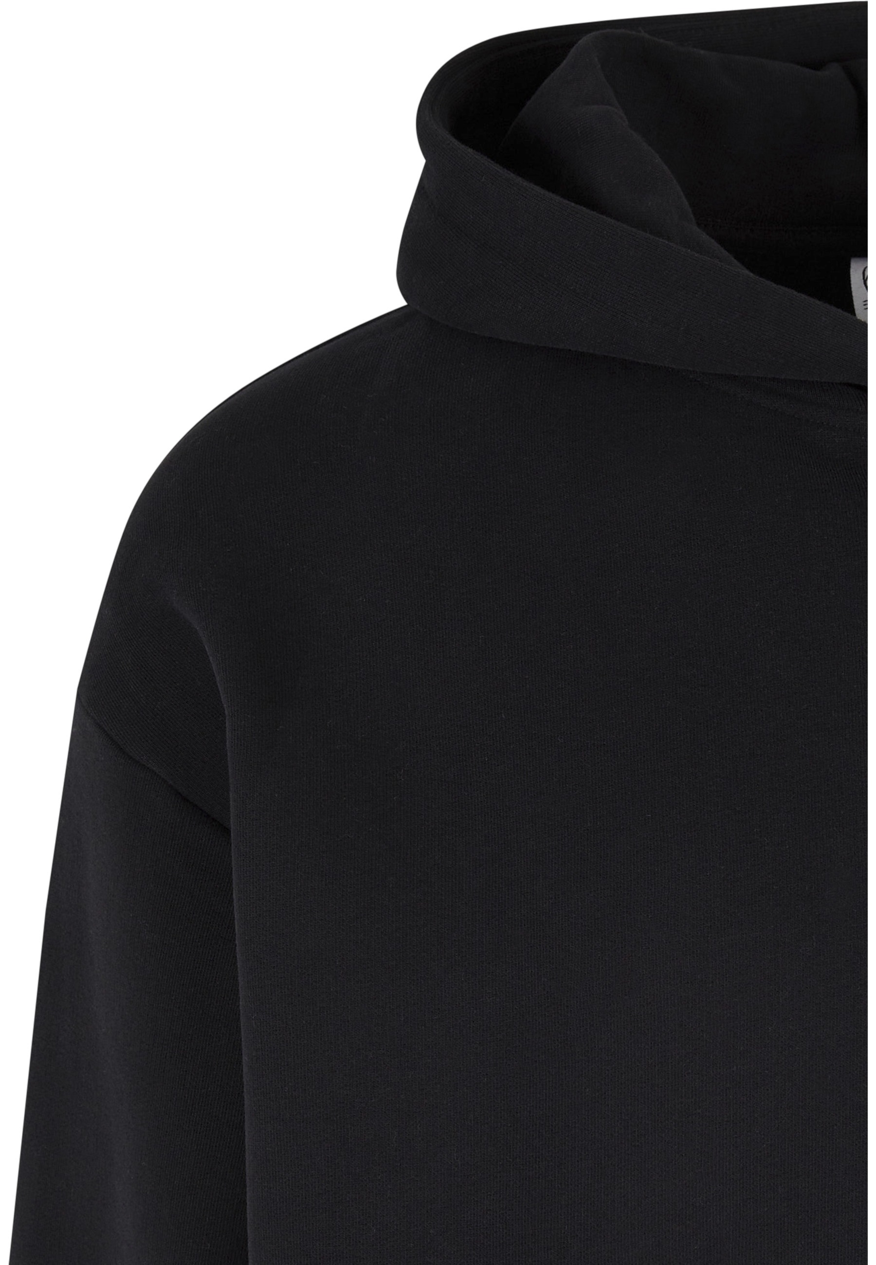 Kapuzenpullover KARL KANI "Karl Kani Herren KM234-038-1 KK Small Retro OS Hoodie", Herren, Gr. XL, schwarz, 80% Baumwolle, 20% Polyester, mehrfarbig, relaxed fit, ohne Ausschnitt, Pullover Kapuzenpullover 3