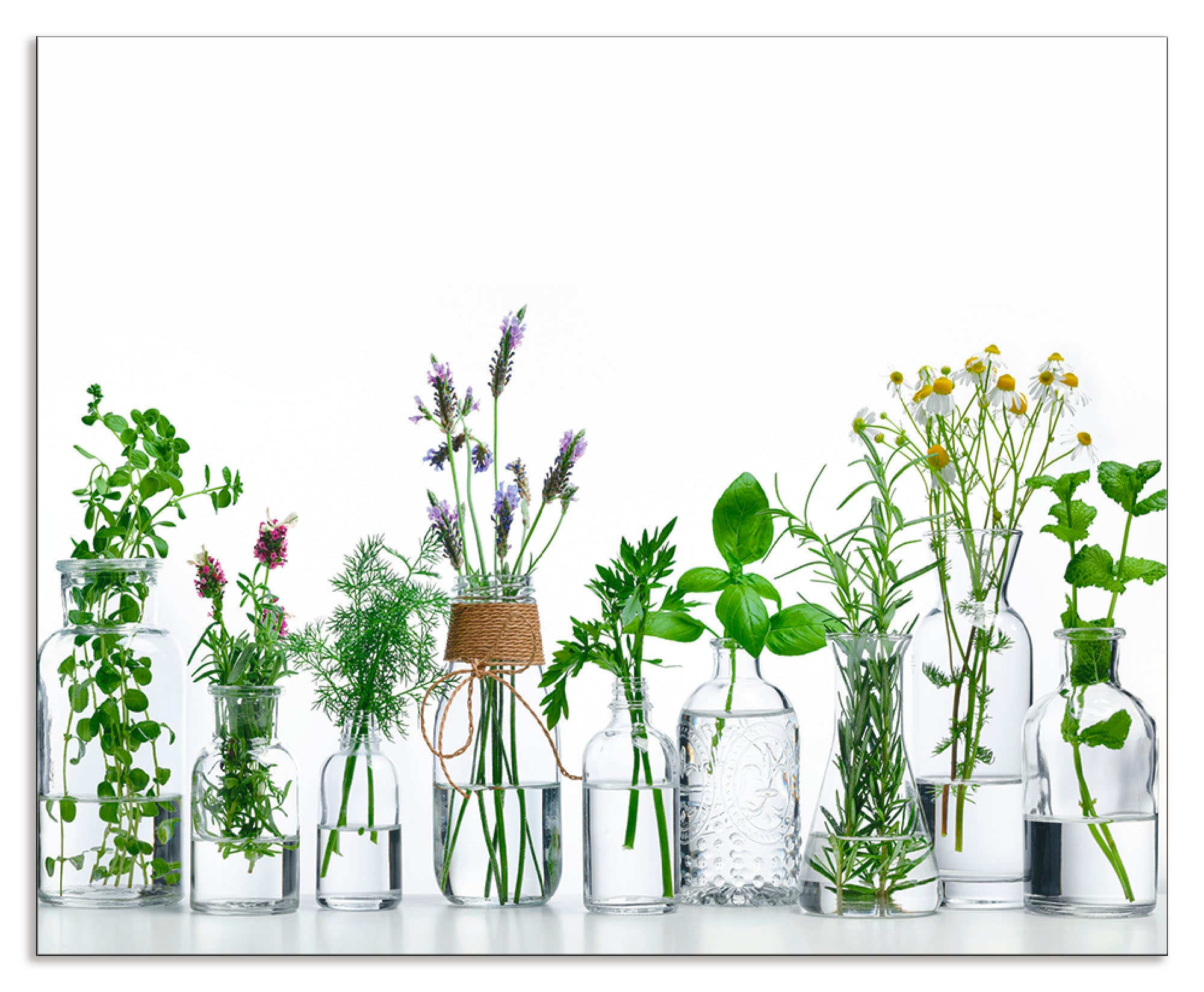 Artland Küchenrückwand "Öle mit Kräutern", (1 tlg.), Alu Spritzschutz mit K günstig online kaufen