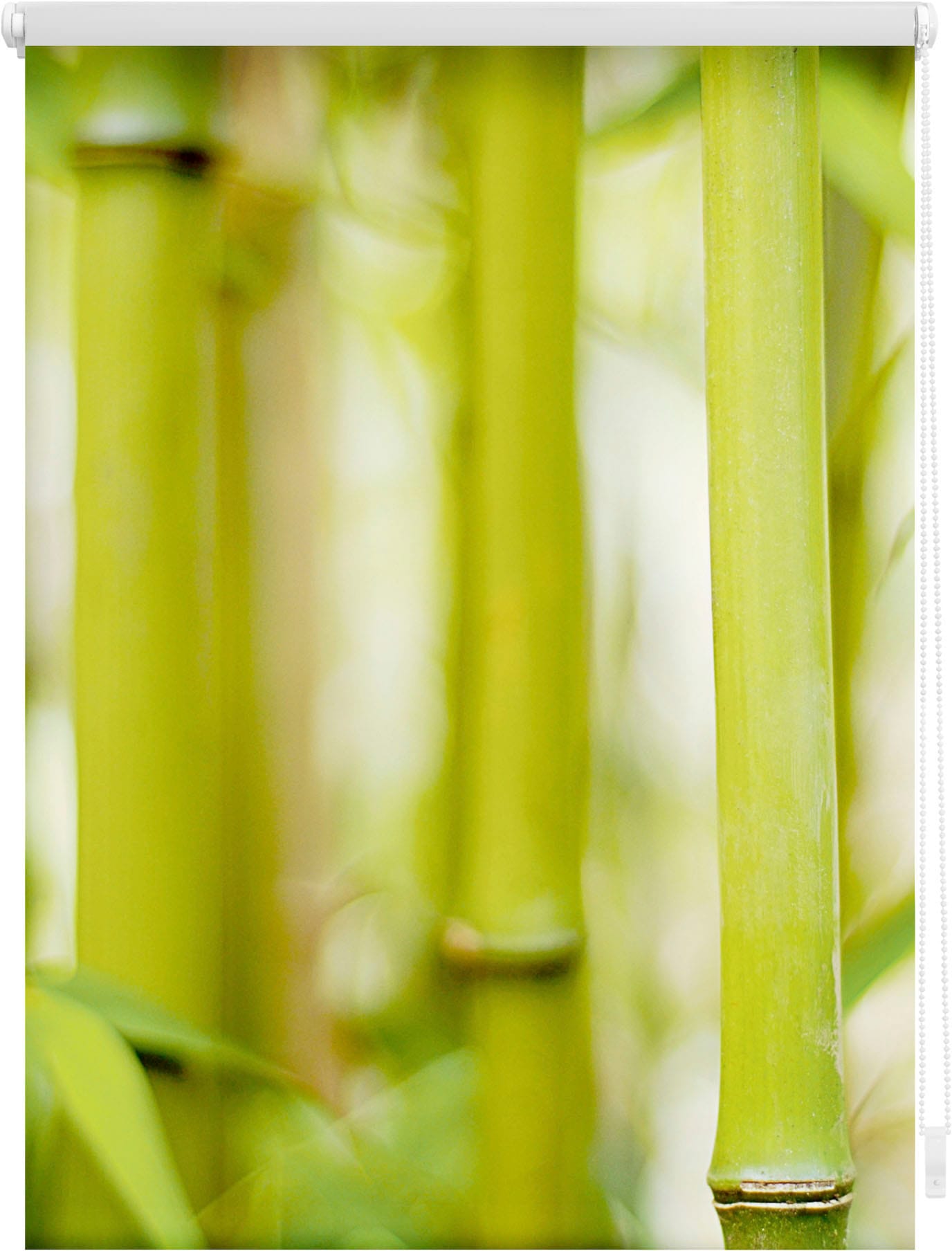 LICHTBLICK ORIGINAL Seitenzugrollo "Klemmfix Motiv Bambus", Lichtschutz, ohne Bohren, freihängend, bedruckt