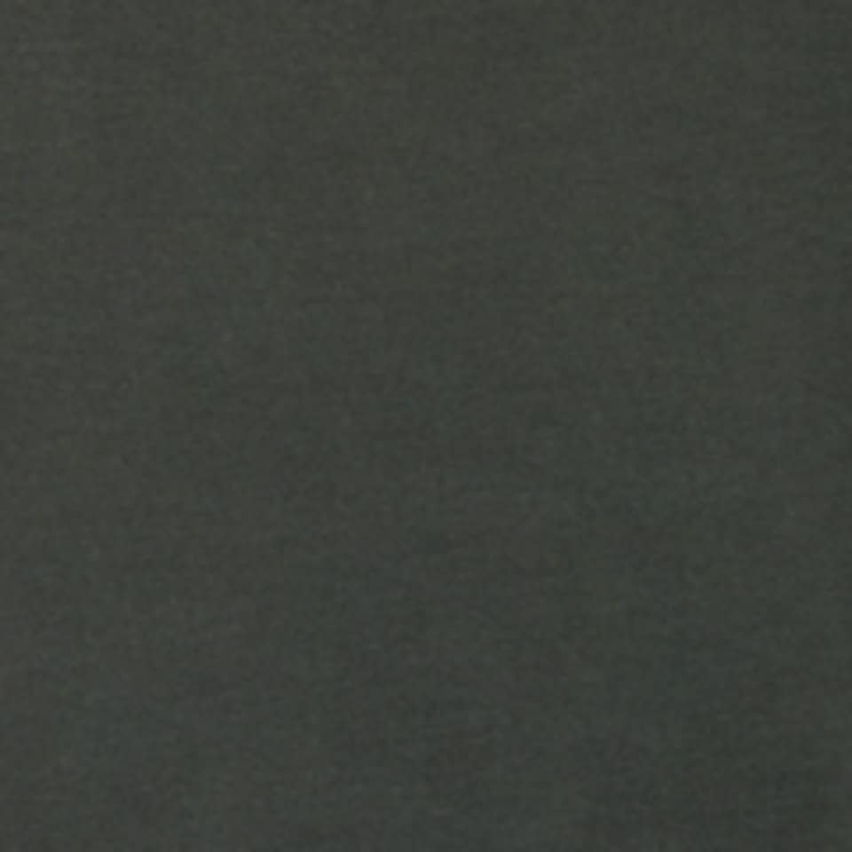 Cecil Jogger Pants  Middle Waist