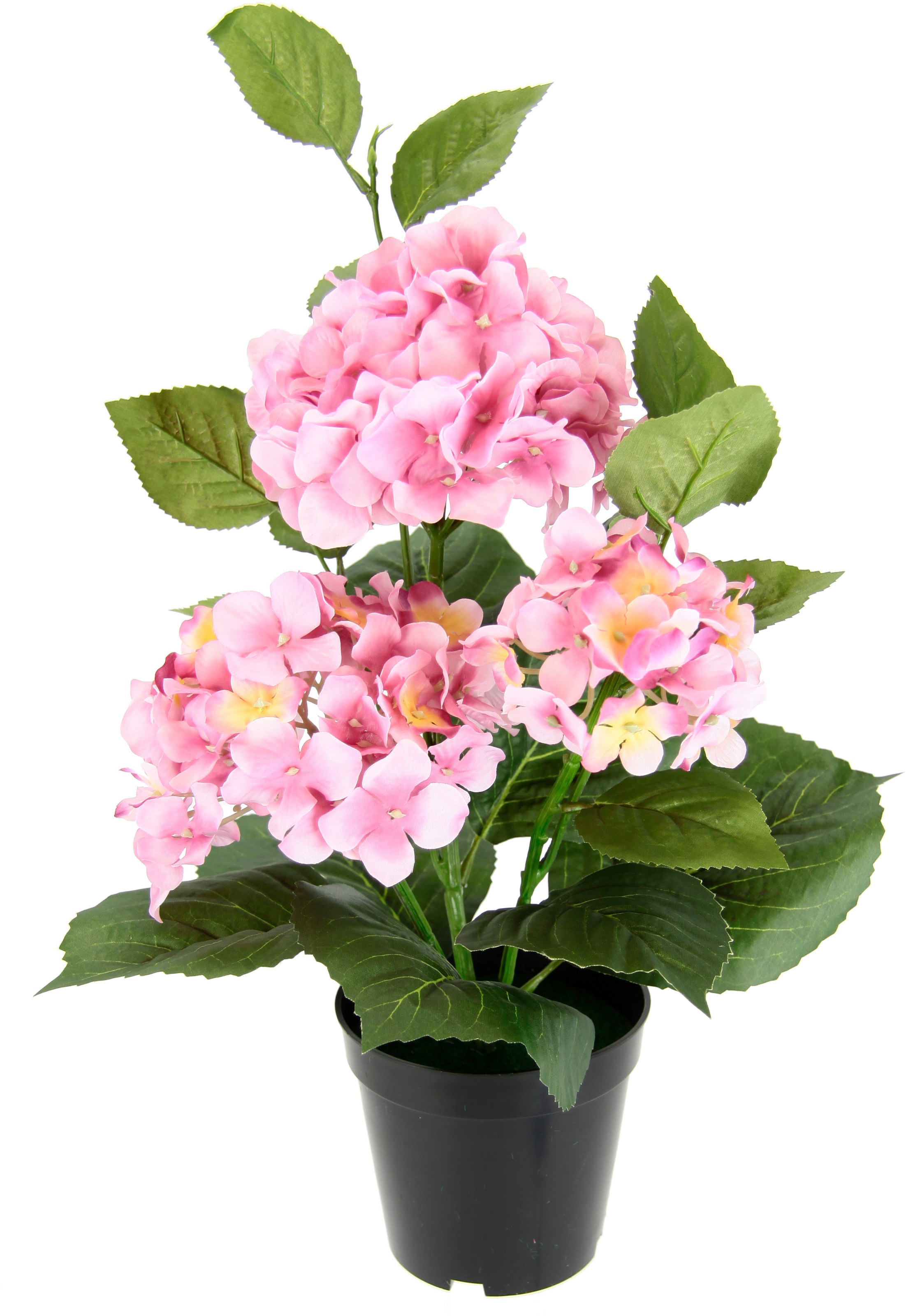 I.GE.A. Kunstblume "Hortensien" Künstliche Hortensie im Topf Blume Hortensi günstig online kaufen