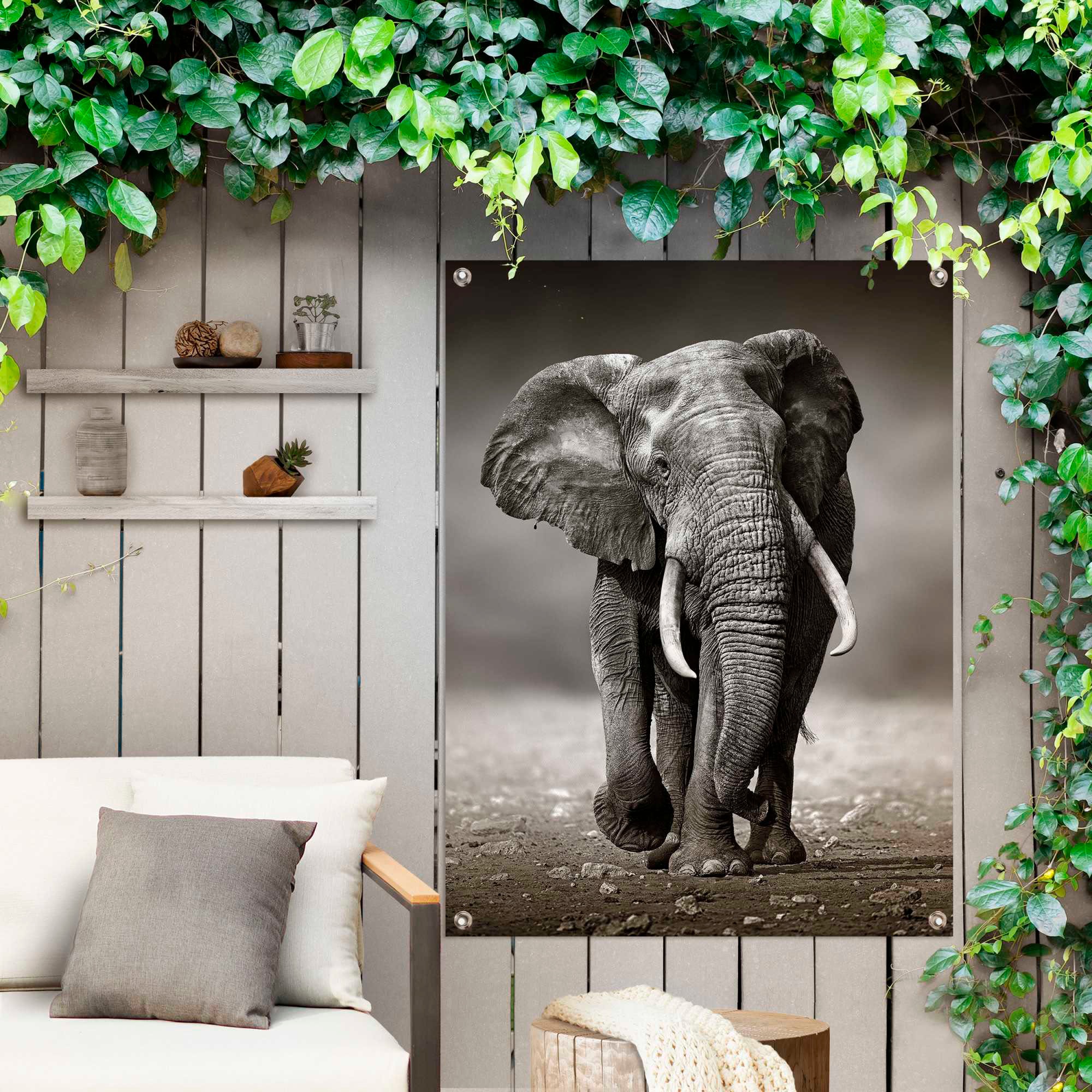 Reinders Poster "Elefant" günstig online kaufen