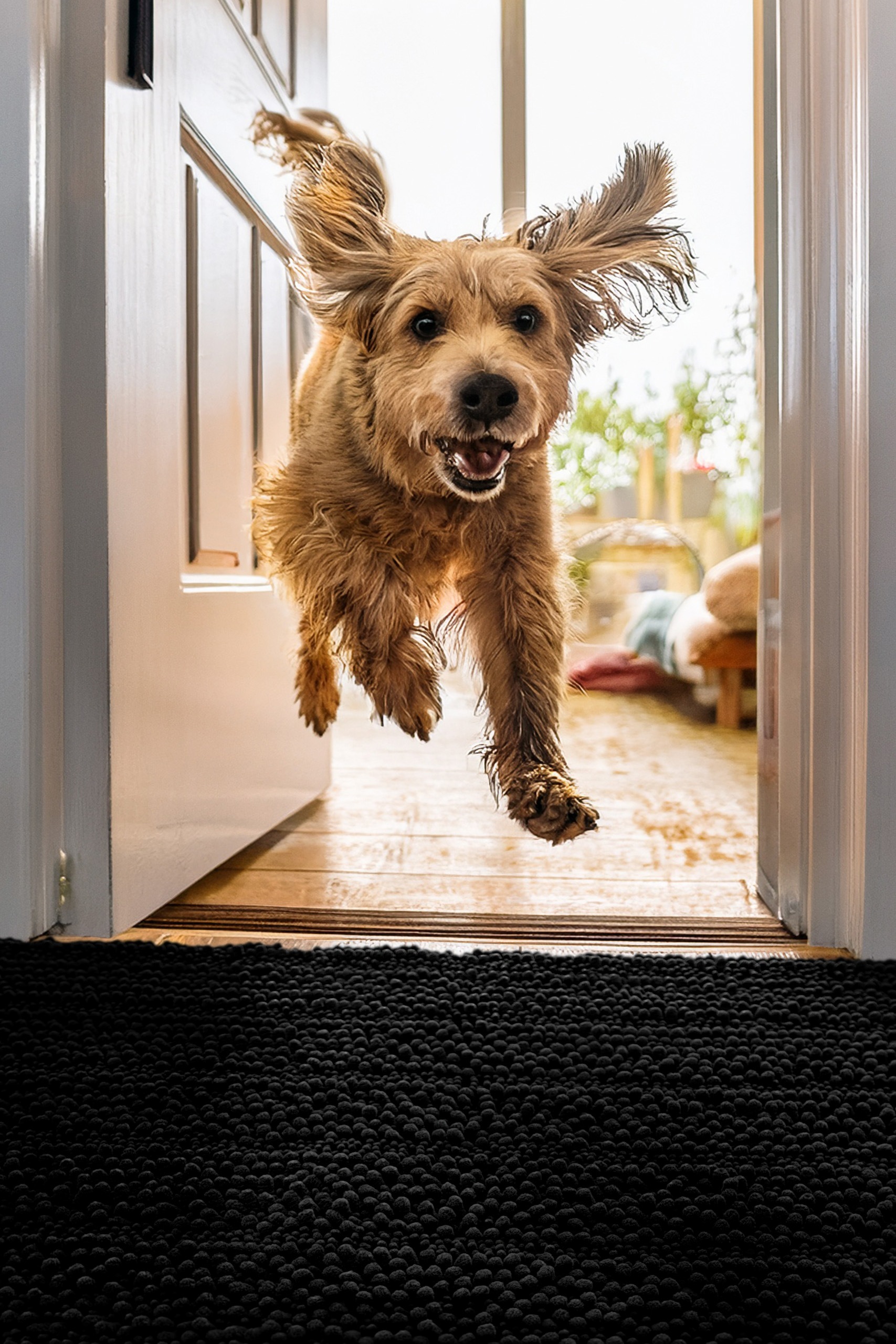 Wecon home Teppich "Cooper" rechteckig 22 mm Höhe Haustierteppich, rutschfe günstig online kaufen